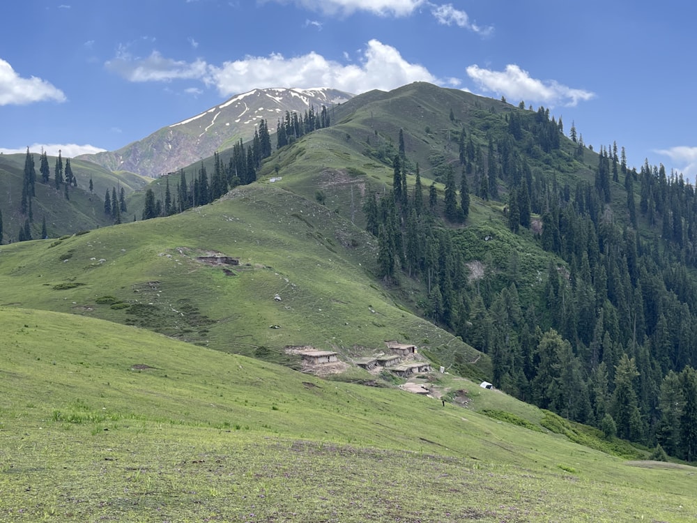 a grassy valley with trees and mountains in the background