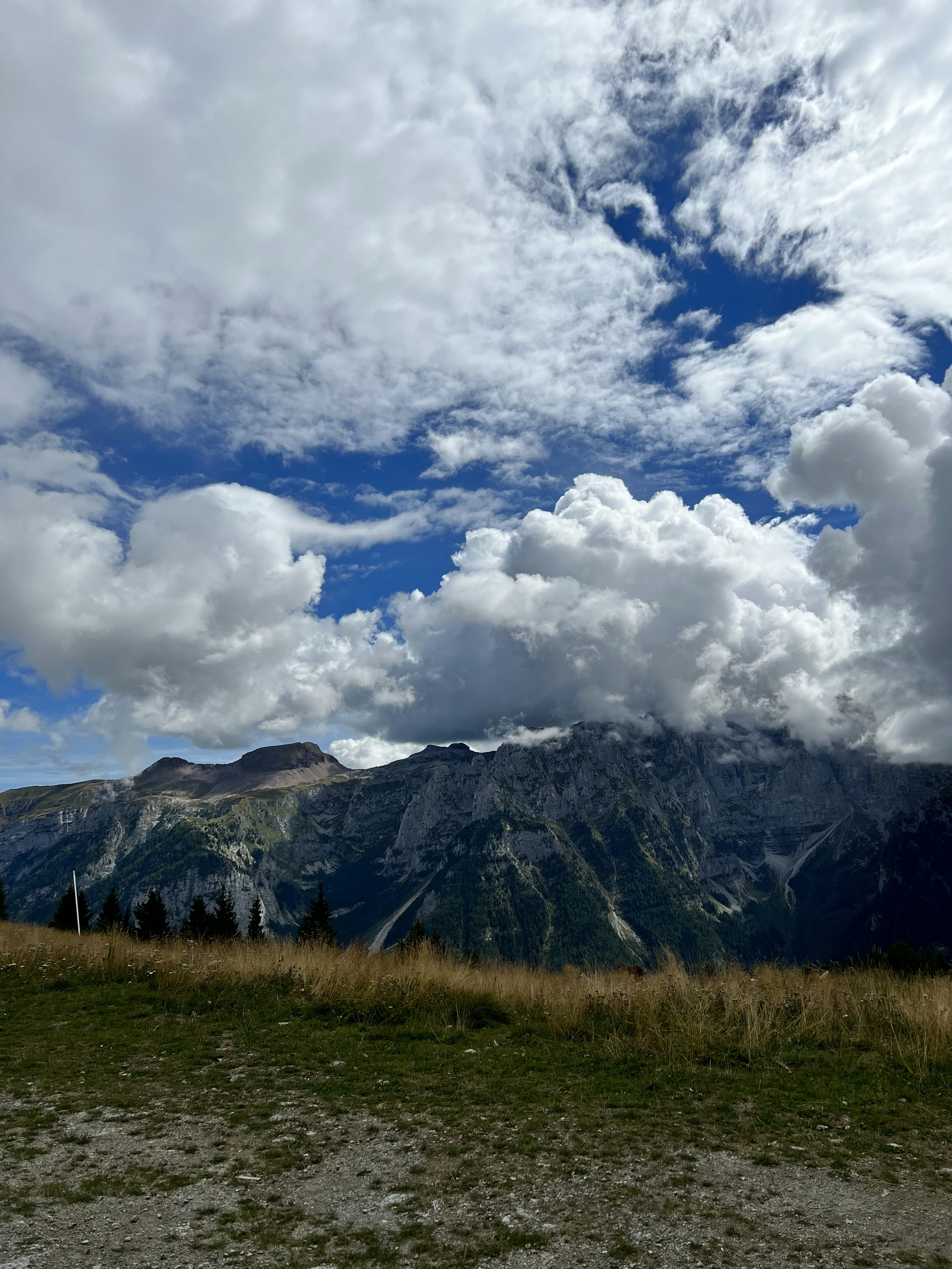 Photo by ininfluencergigi