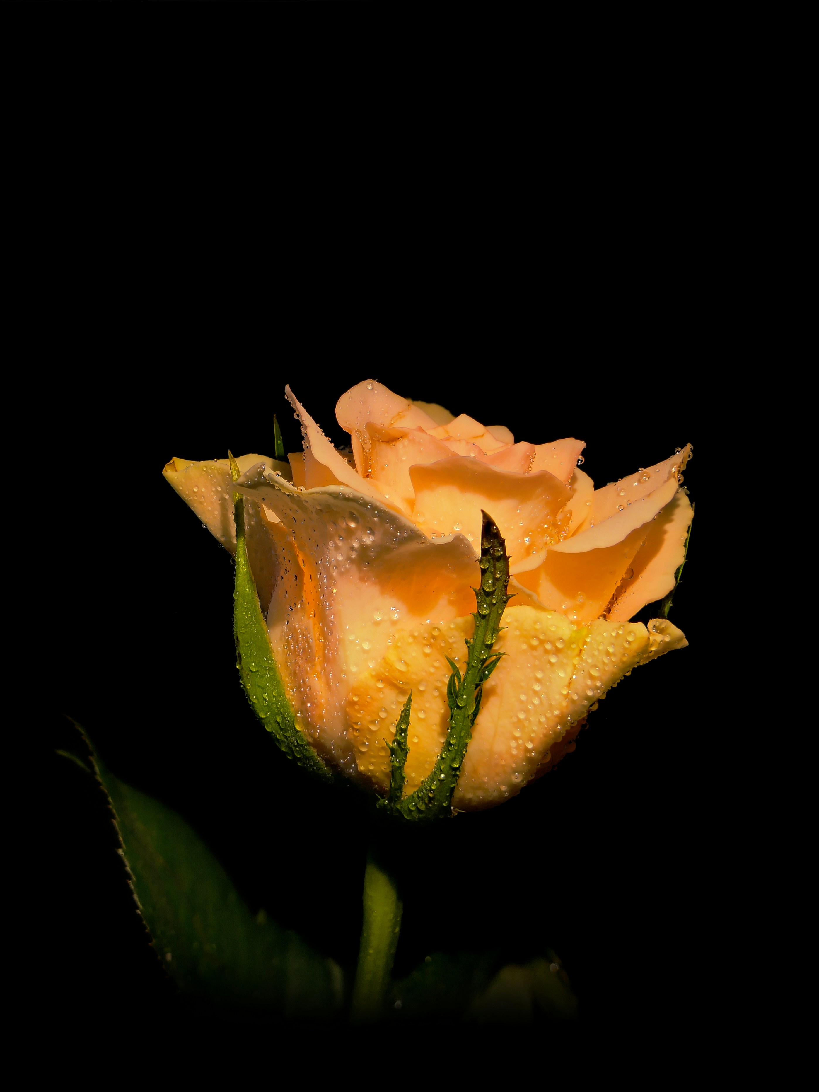 Photo by thomaswolter