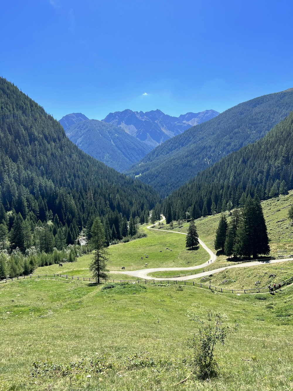 a landscape with trees and mountains in the back