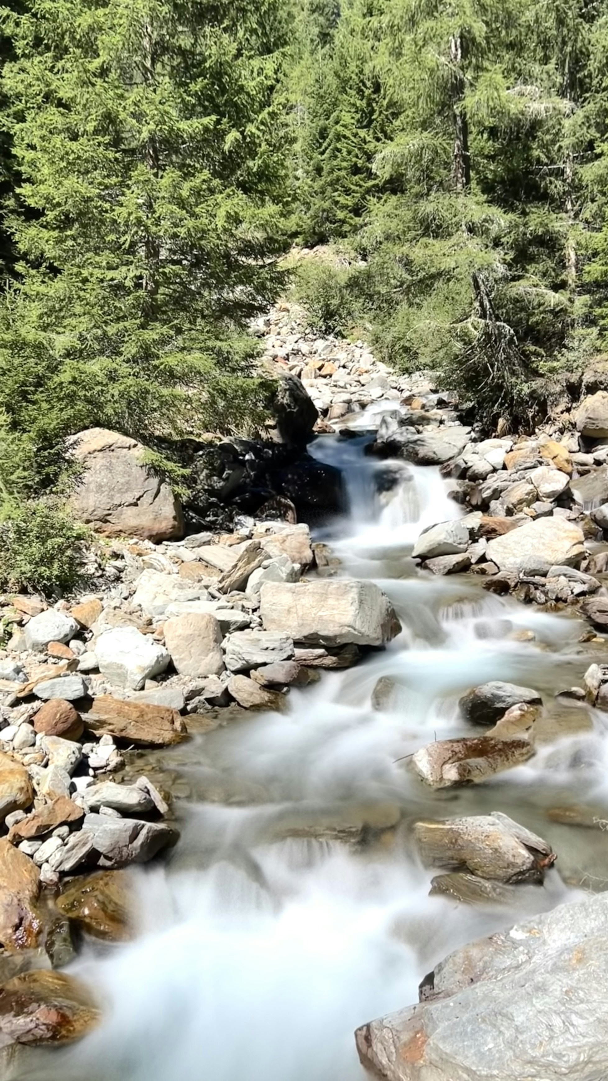 Photo by ininfluencergigi