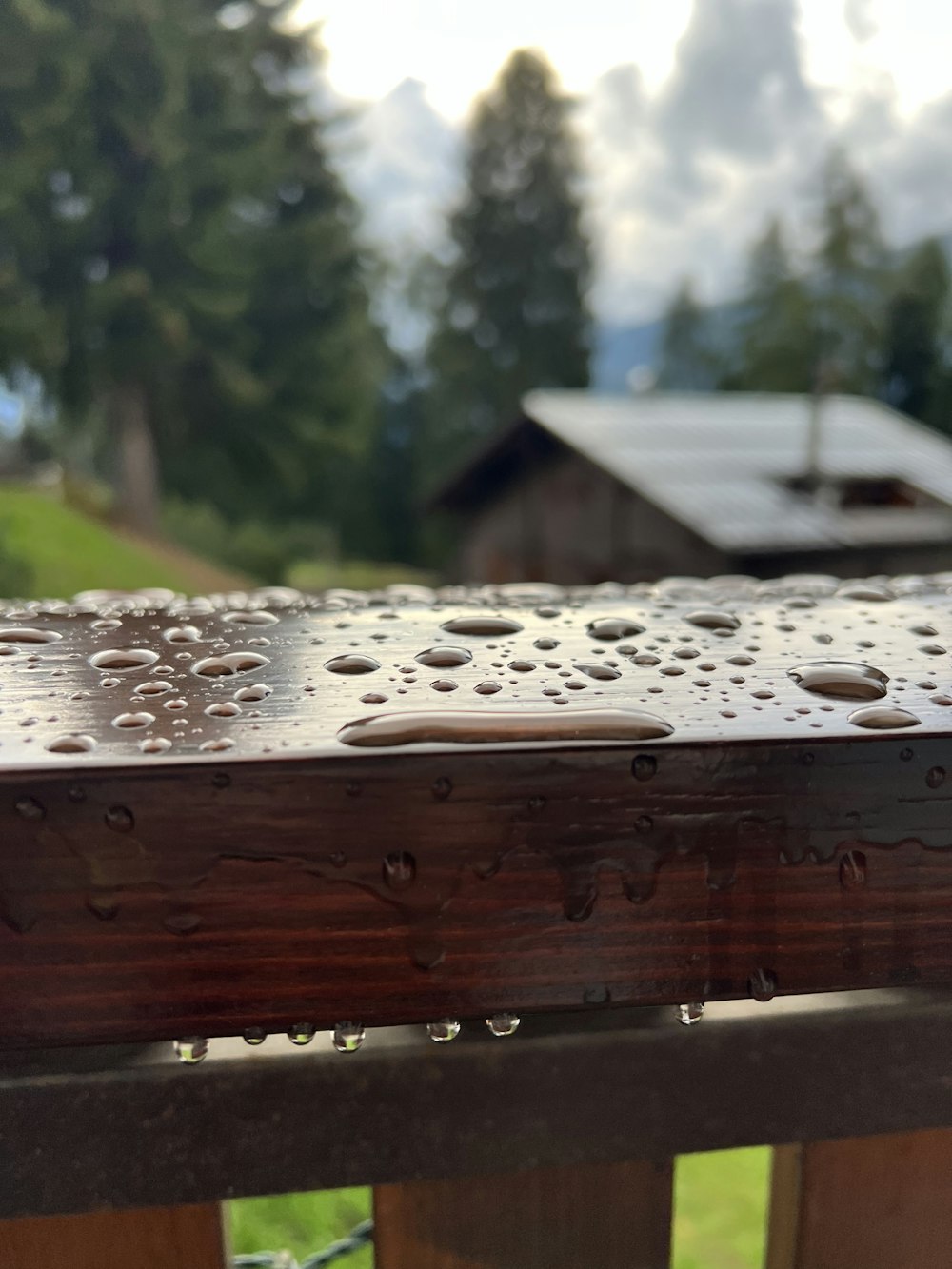 a close up of a table