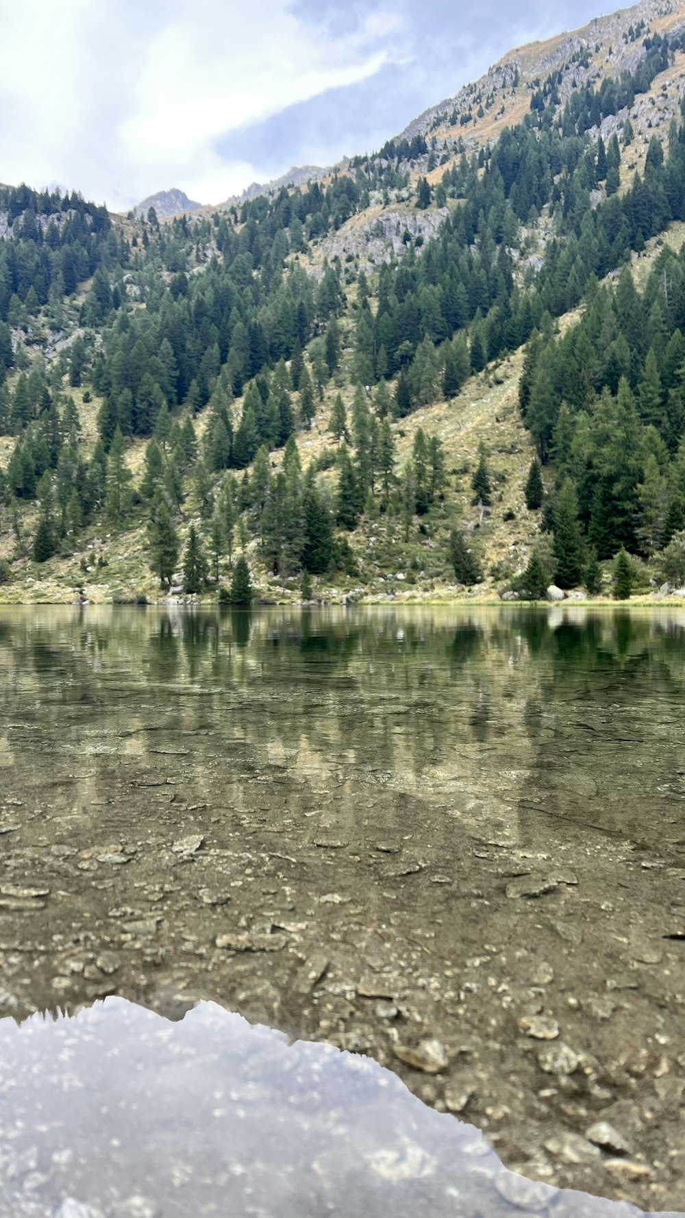 a lake with trees and mountains in the background