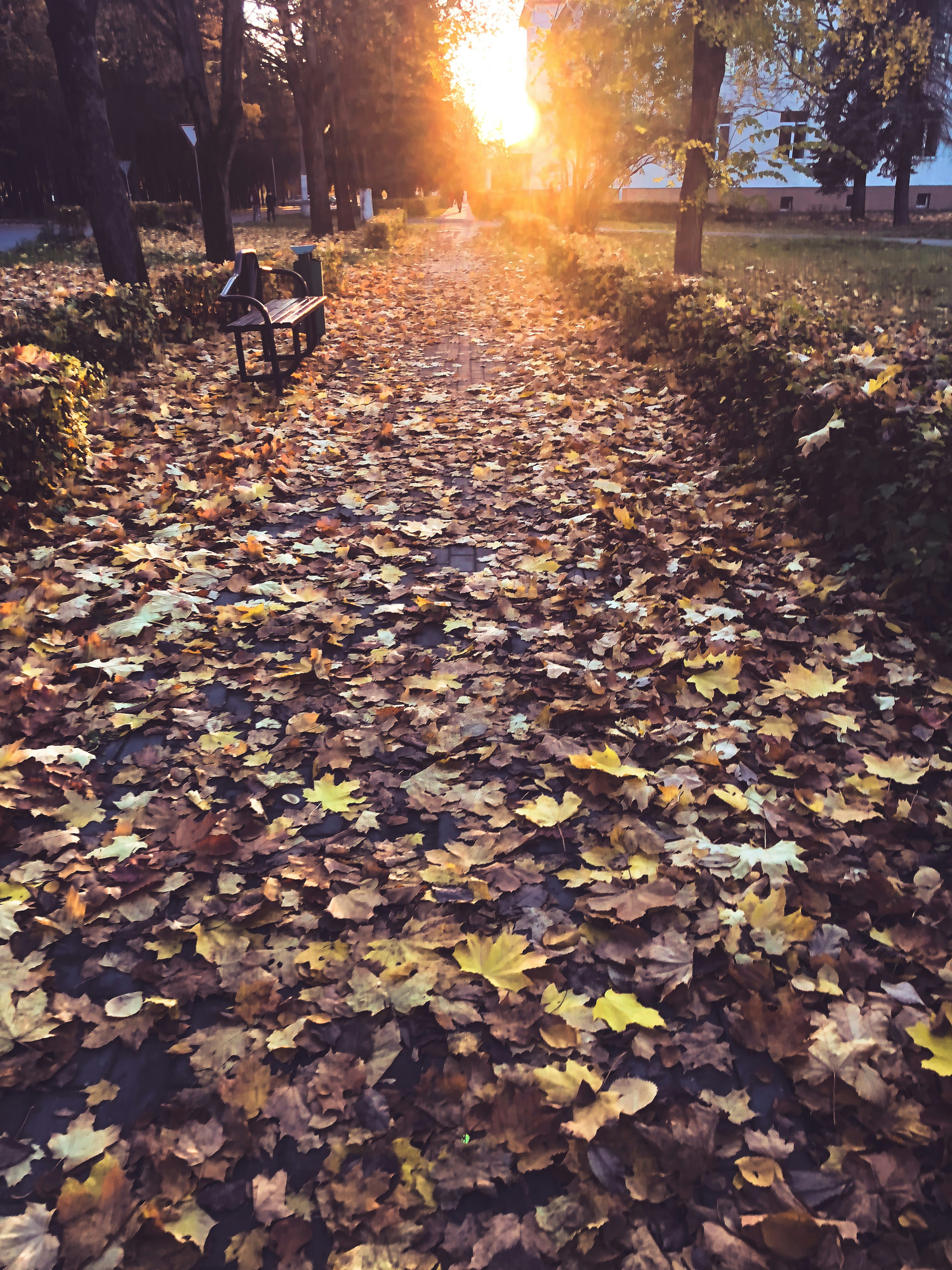 Photo by jamiepolivka