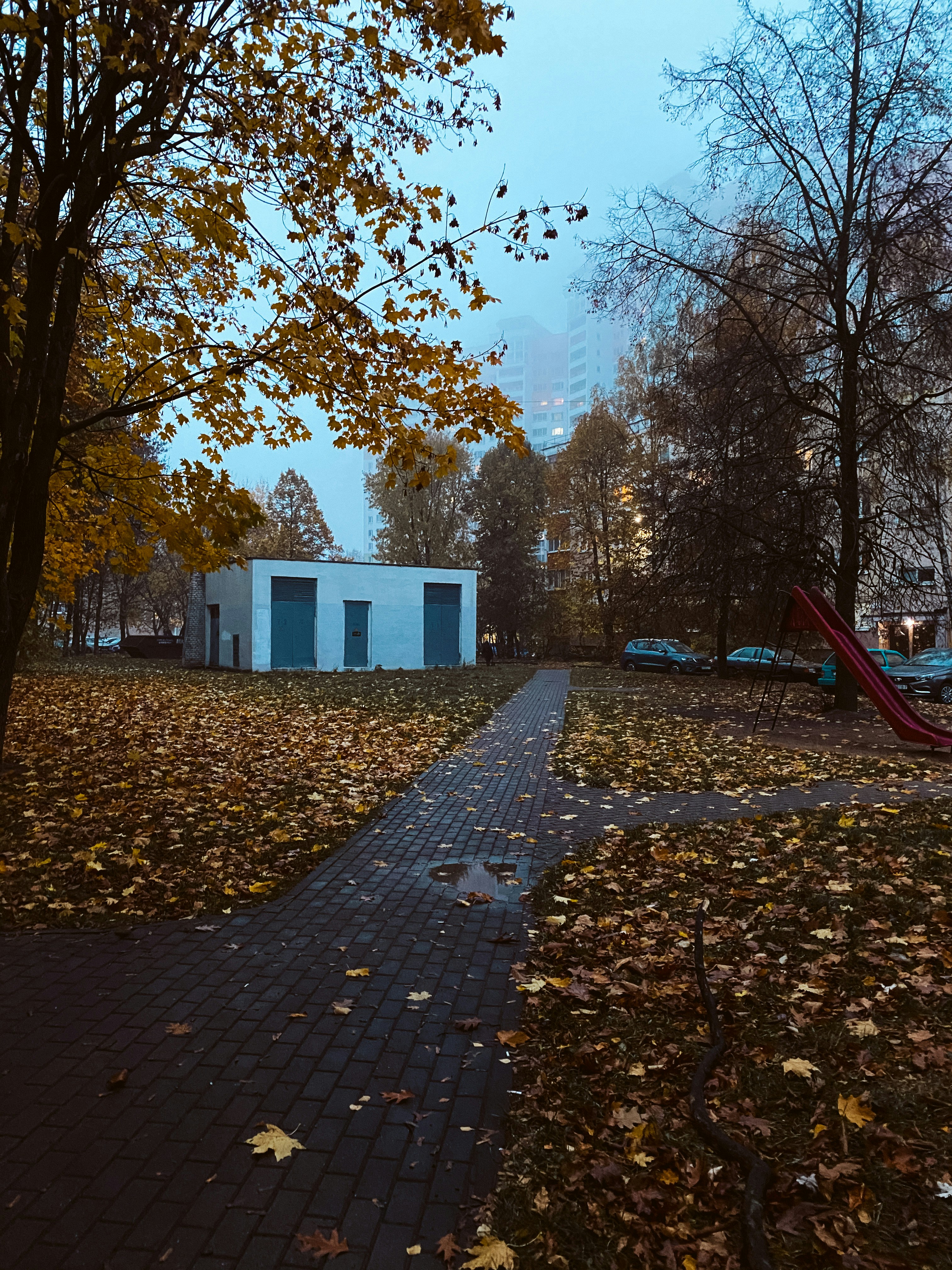 a building with trees around it