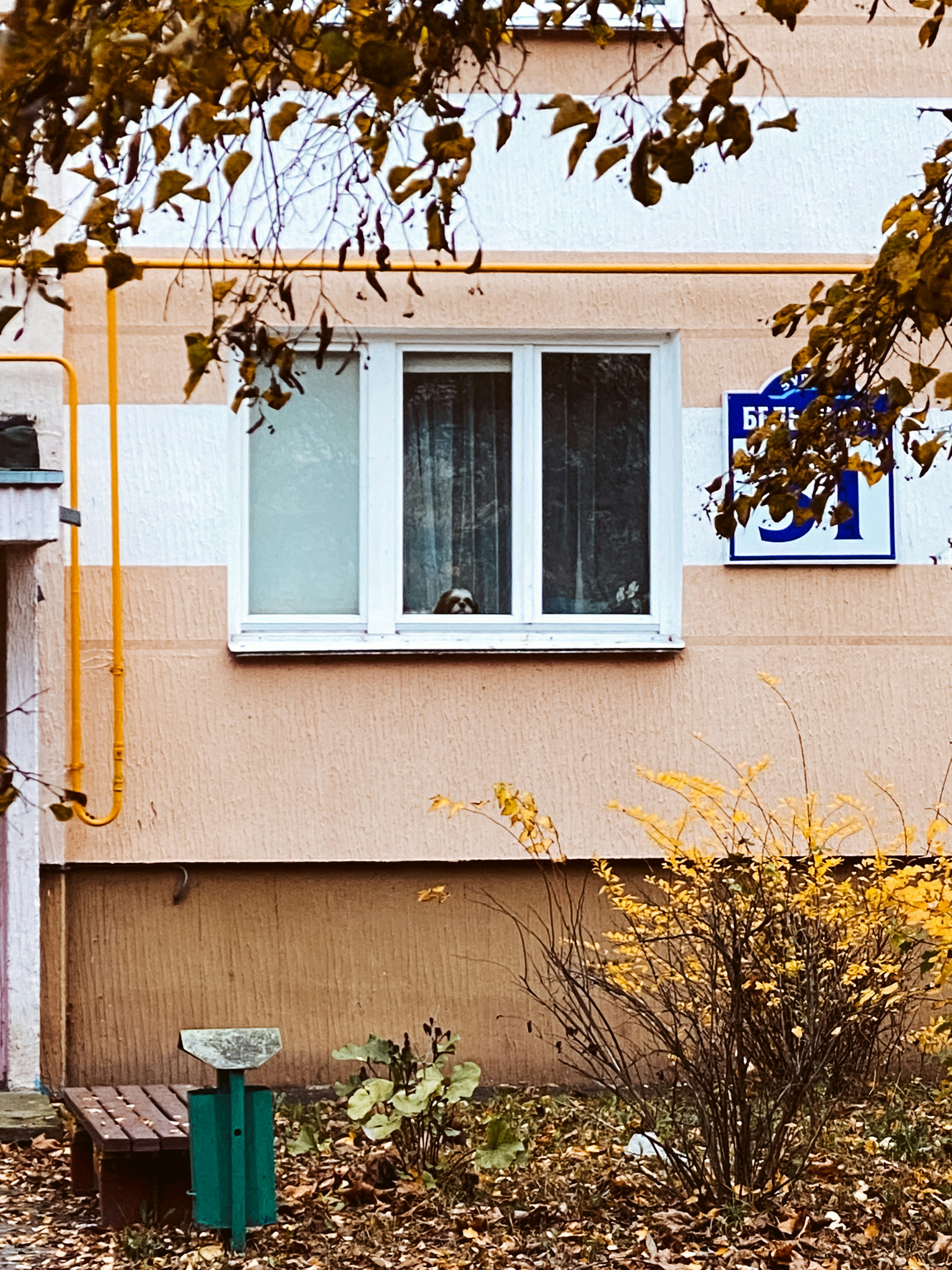 Photo by jamiepolivka