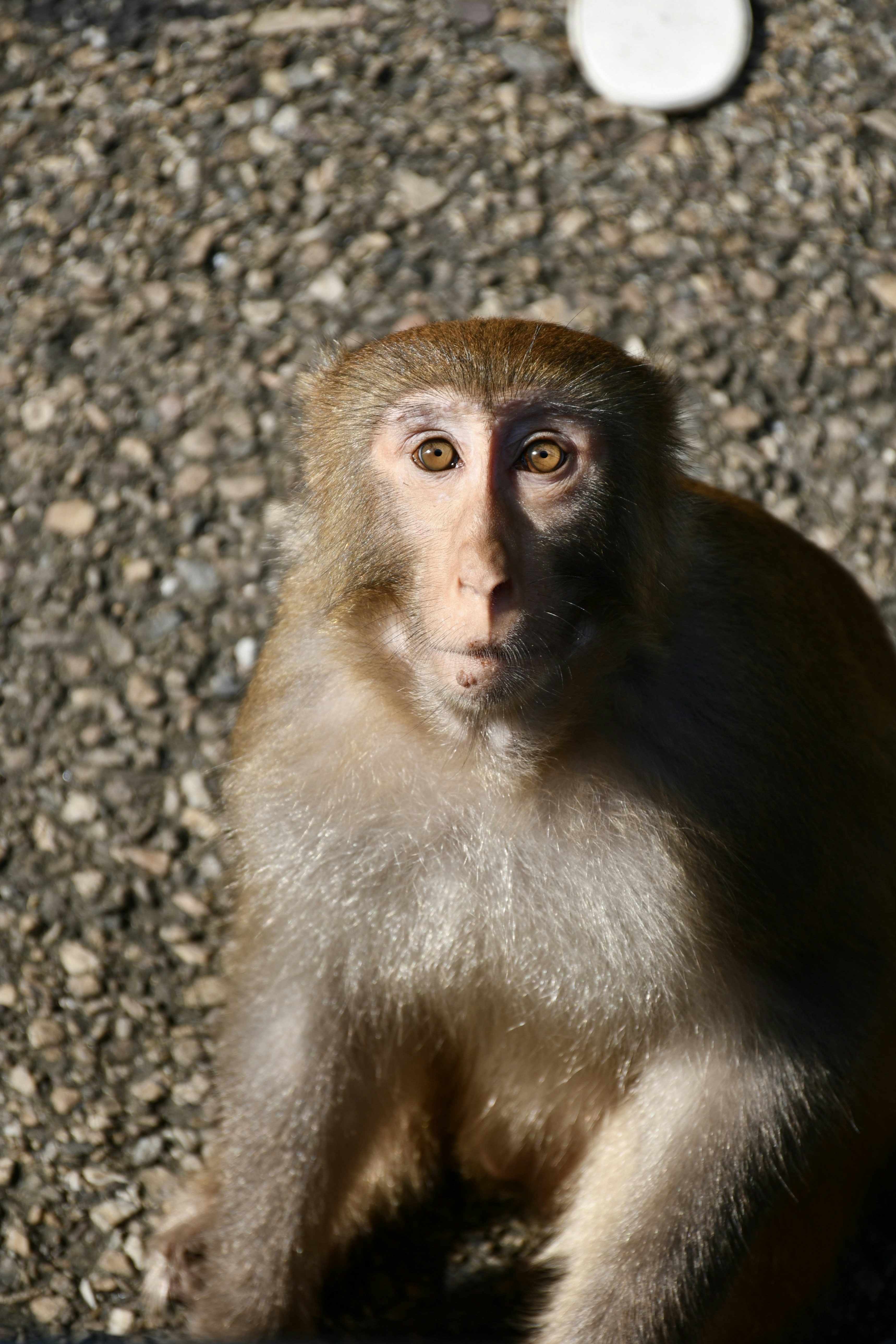 Photo by rishipatell