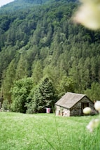 a house in a field of grass