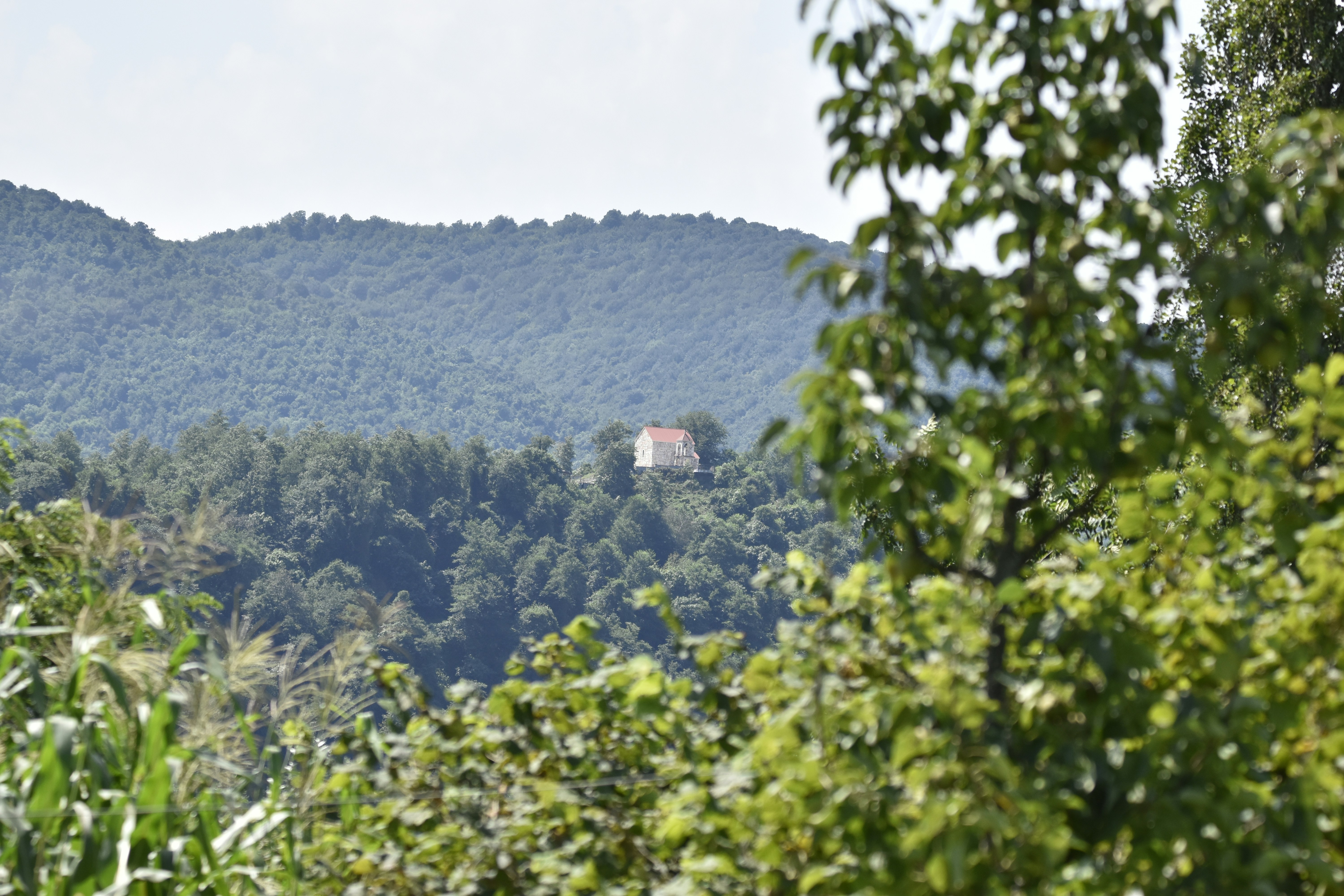 Photo by poltergeisti