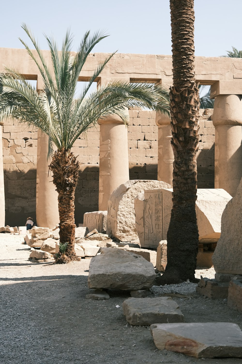 a building with palm trees