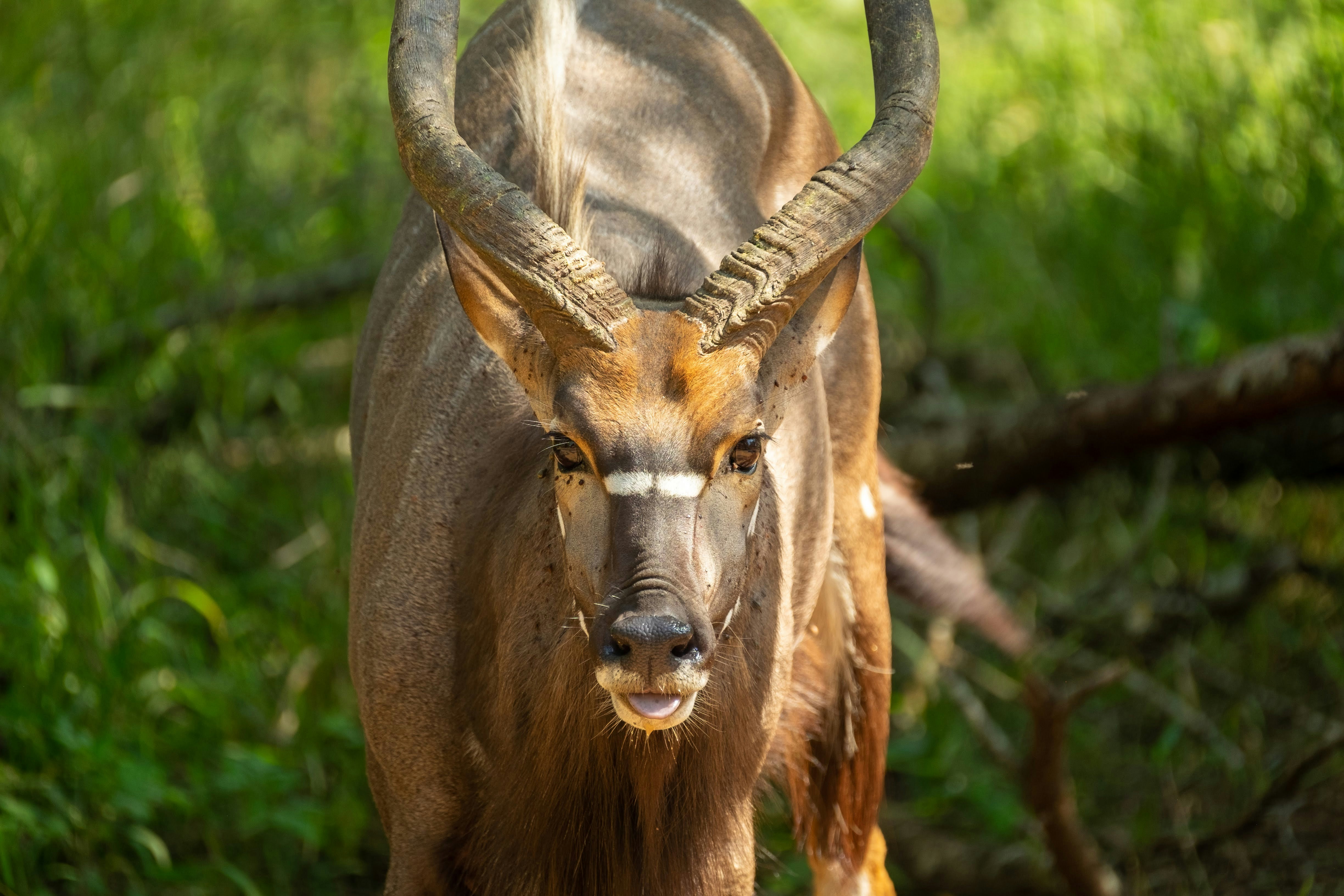 Photo by pedromiravaz