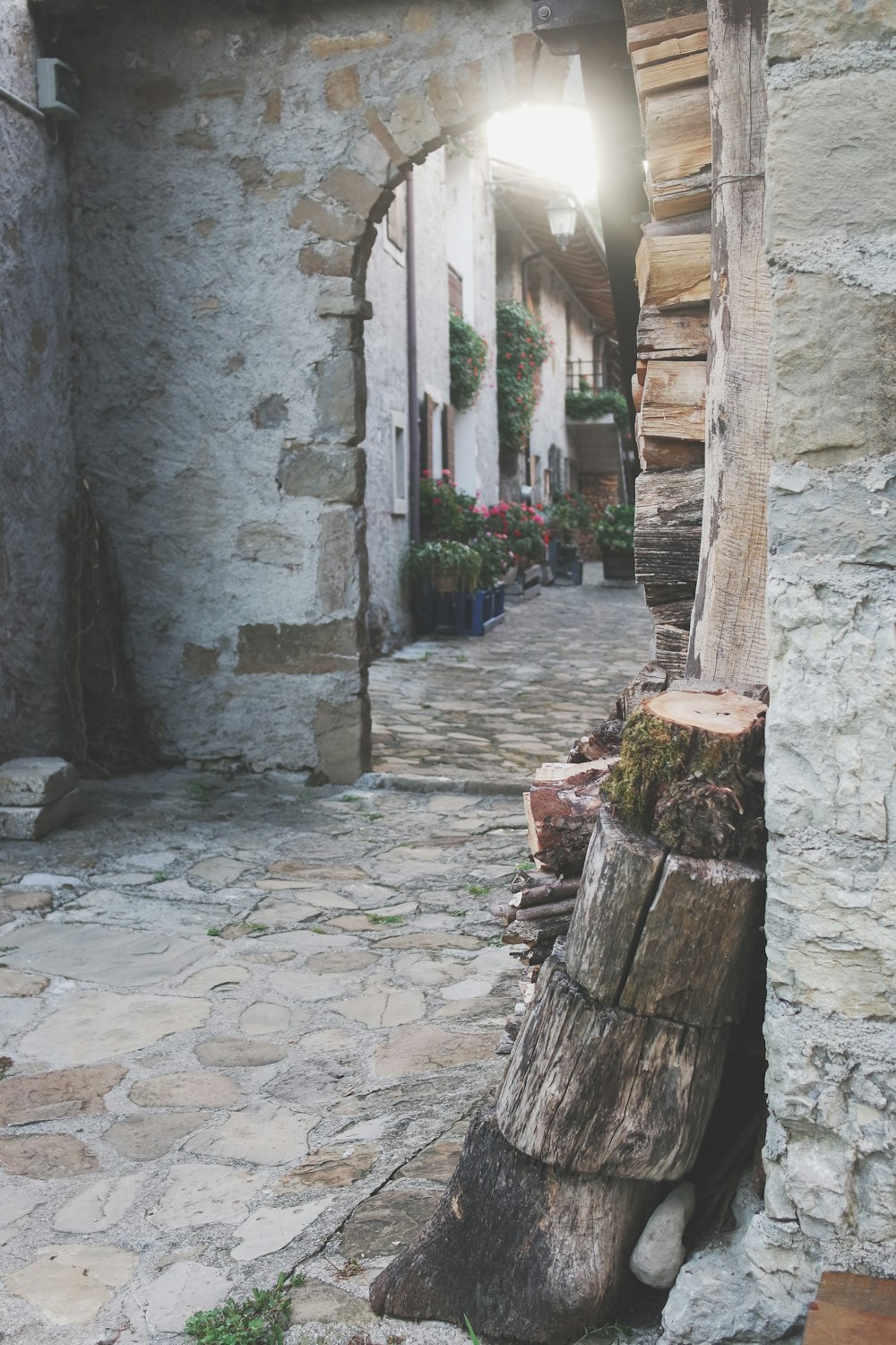 a stone walkway with plants and a stone wall