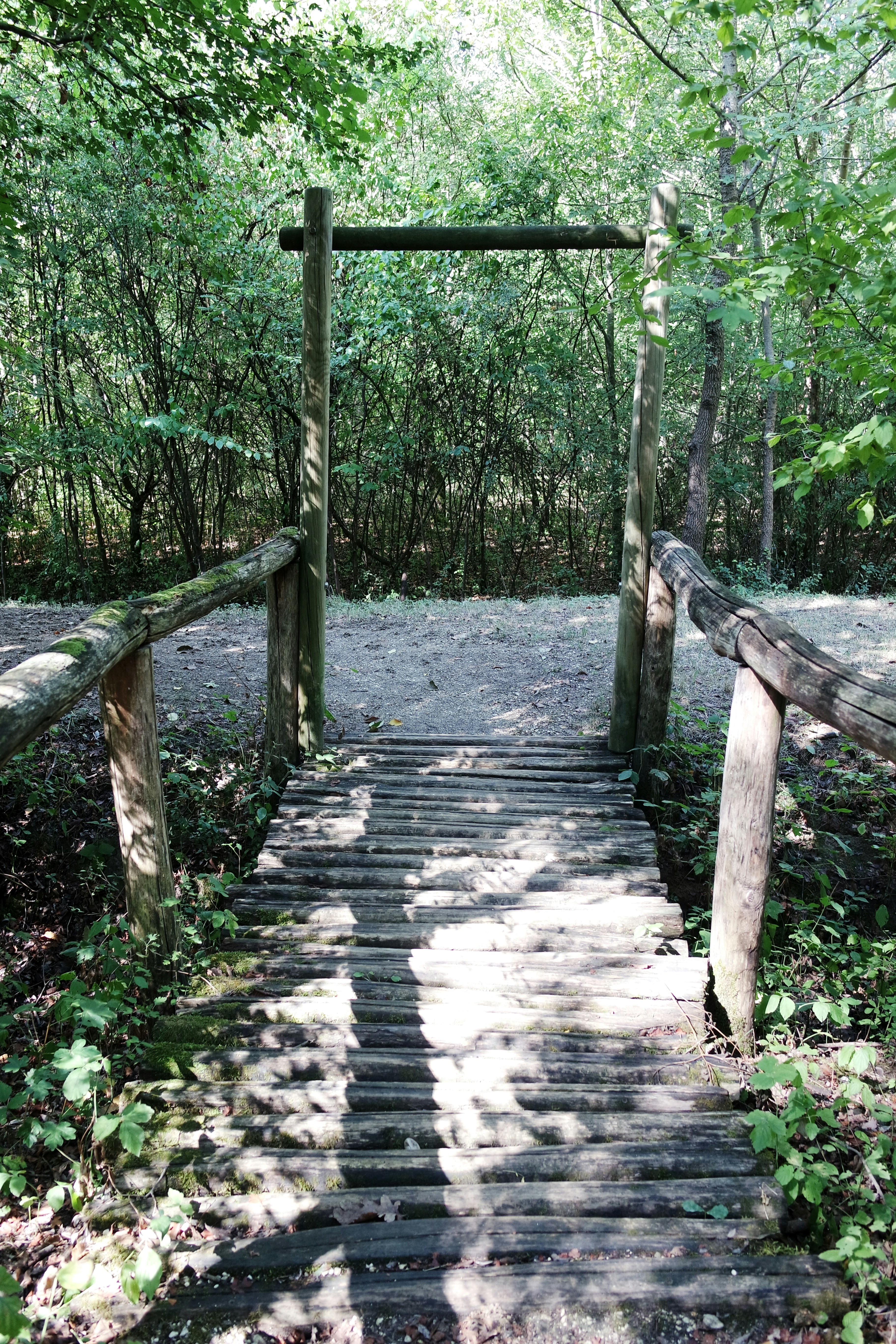 Photo by gvgraphica178