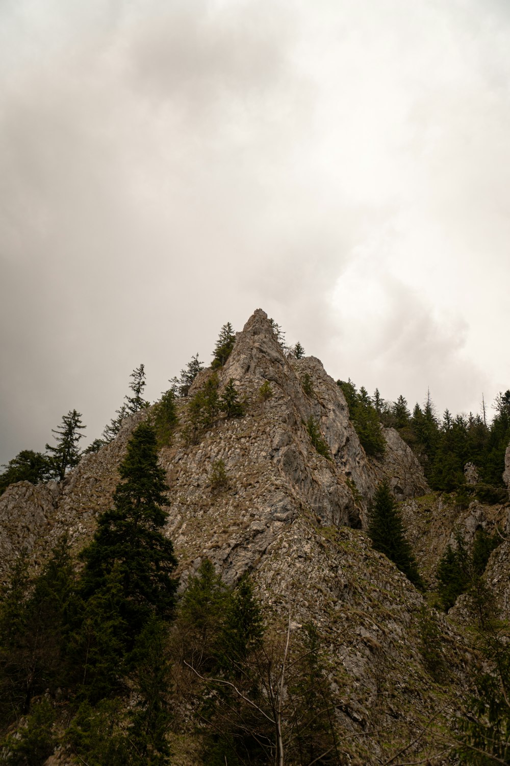 a rocky mountain with trees on it