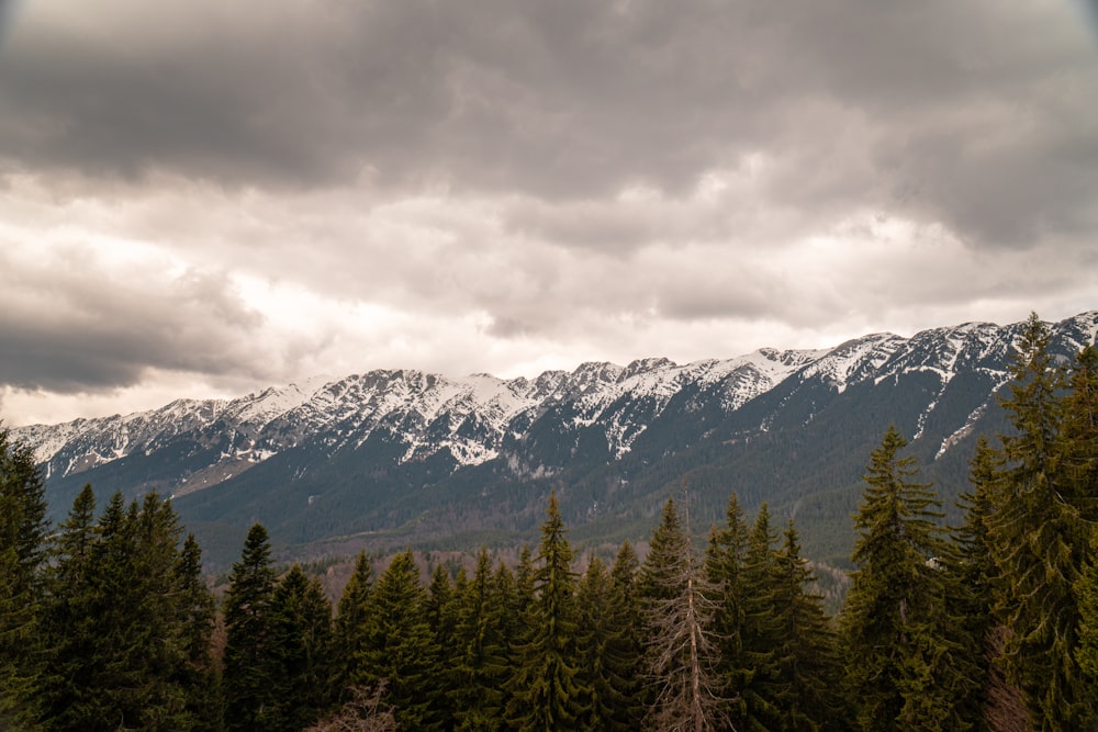 a snowy mountain range