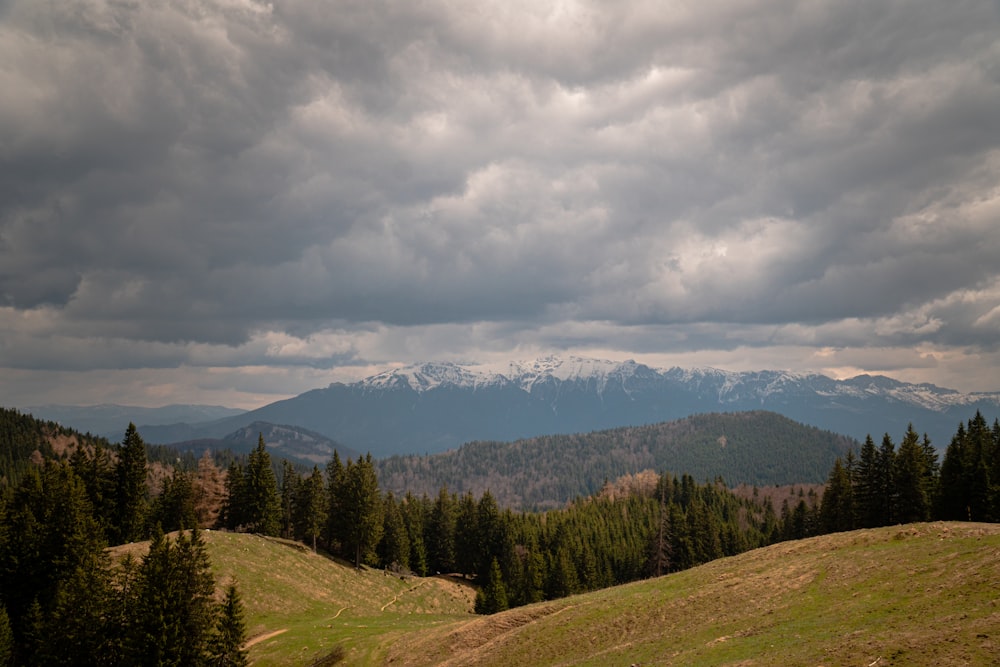 a landscape with trees and mountains in the back