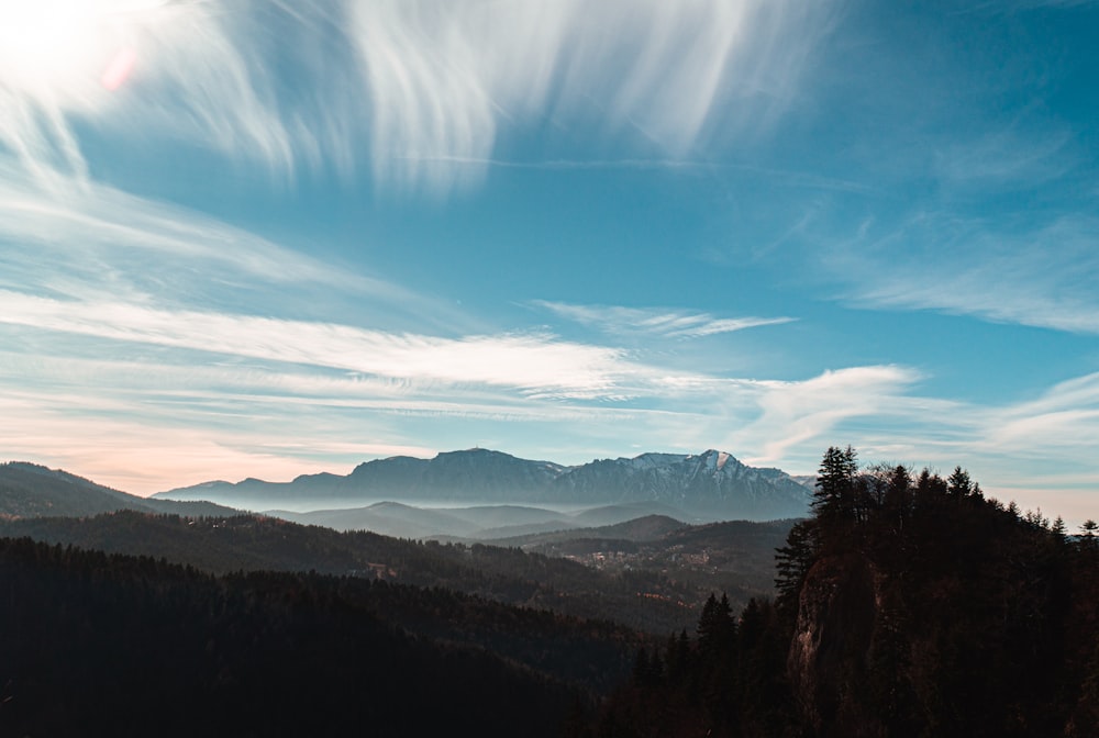 a landscape with trees and mountains