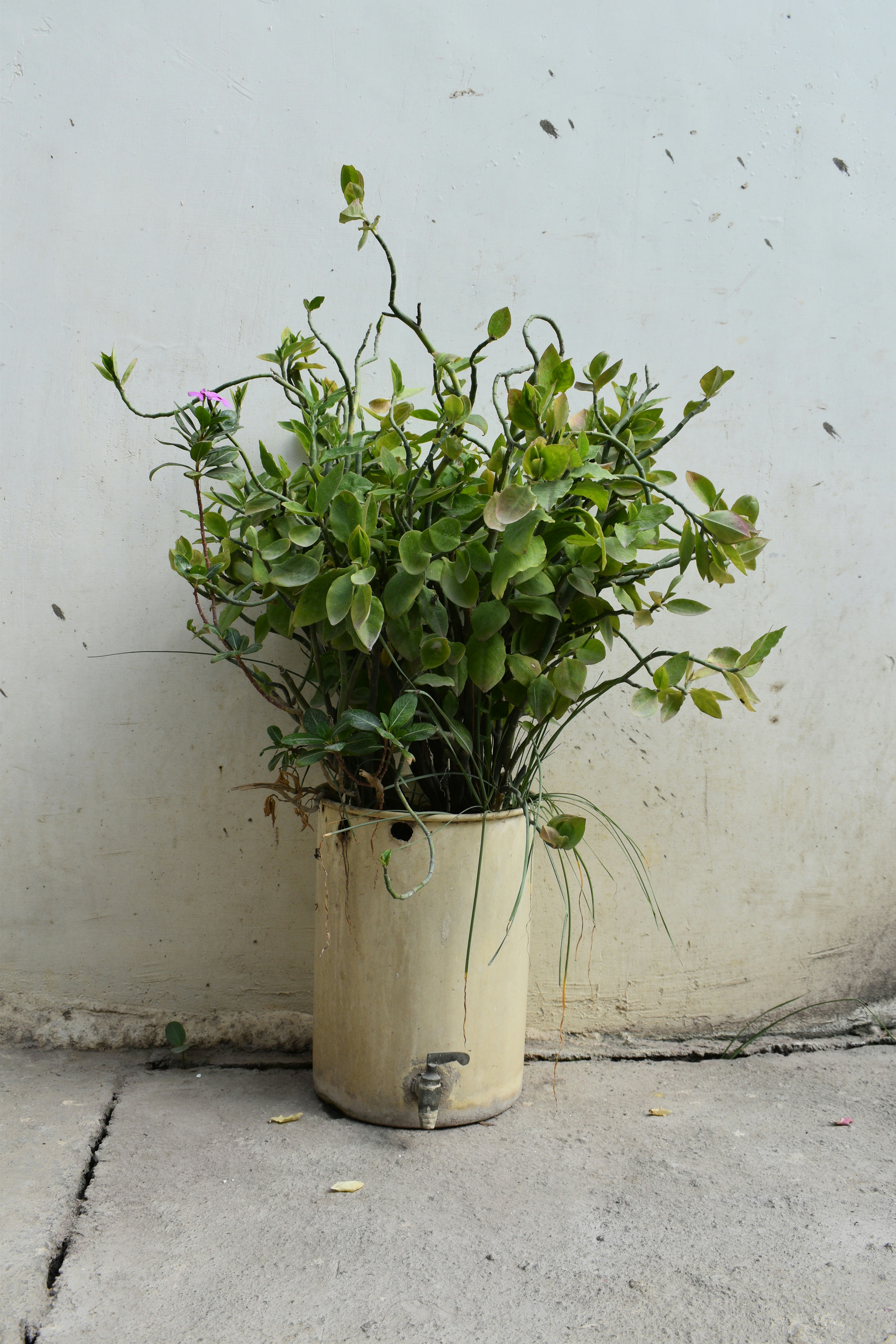 Weekend Project: Upcycle a Sideboard into a Garage Gear Bench (2026 Step‑by‑Step)