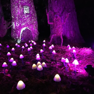 A whimsical scene illuminated at night features a collection of glowing purple mushrooms scattered on the forest floor. Among the towering tree trunks, two woven sculptures resembling organic creatures add an element of mystery and fantasy. A large, elaborate structure woven in a similar style stands prominently, casting a warm light from its windows.