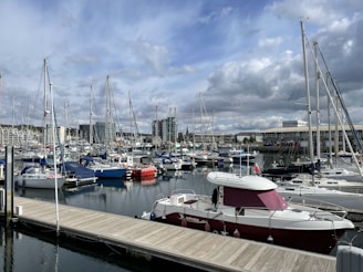 a marina full of boats