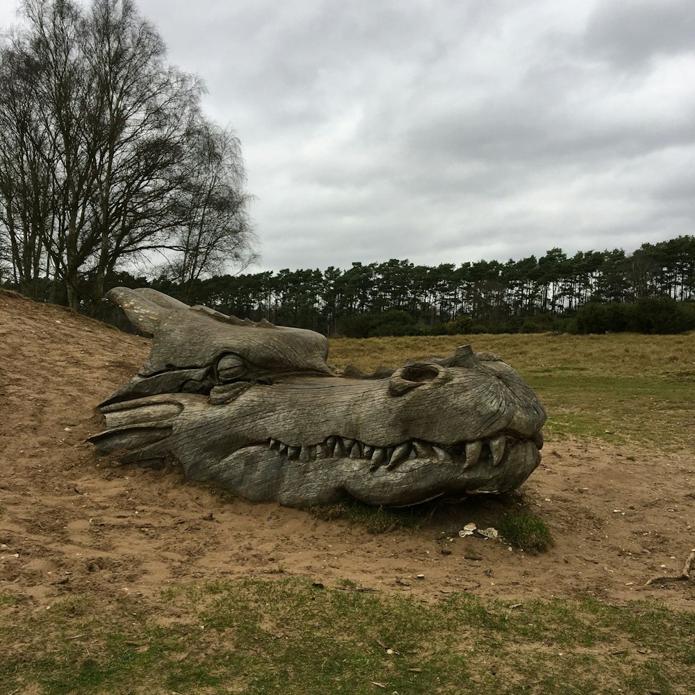 a large rock in a field