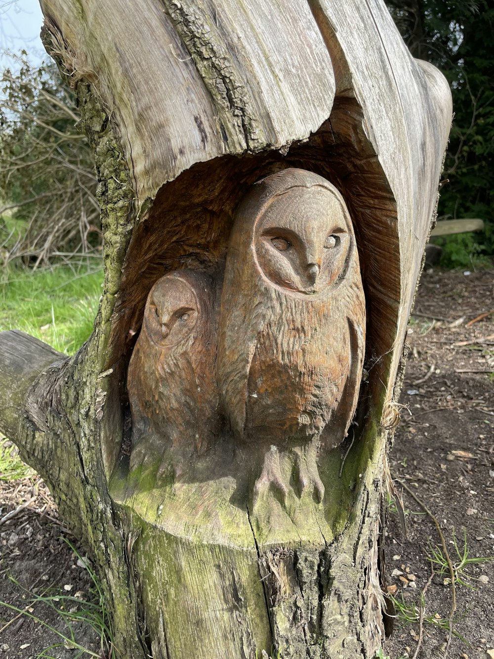 a tree trunk with a face carved into it