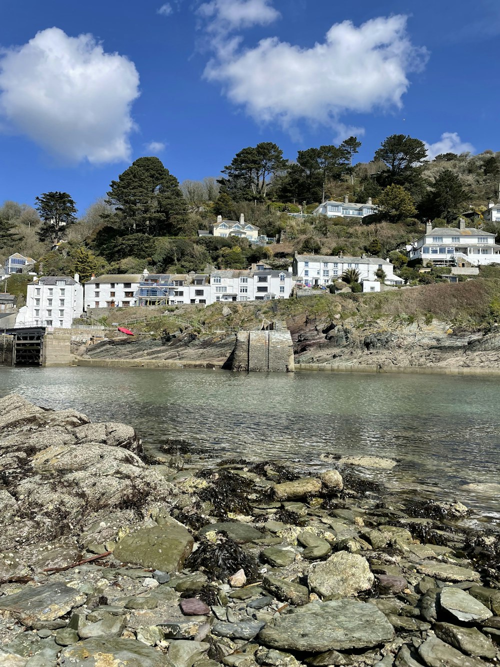 a rocky shore with buildings and trees