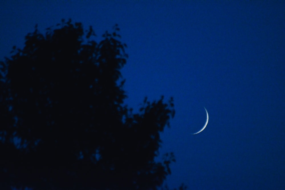 a crescent moon in the sky