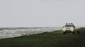 A vehicle with flashing lights is parked on a grassy and sandy shoreline next to choppy waters under an overcast sky. The car appears to be an emergency or patrol vehicle. A dog is present near the vehicle, sniffing along the ground.