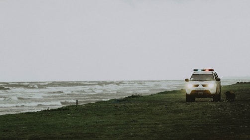 A vehicle with flashing lights is parked on a grassy and sandy shoreline next to choppy waters under an overcast sky. The car appears to be an emergency or patrol vehicle. A dog is present near the vehicle, sniffing along the ground.