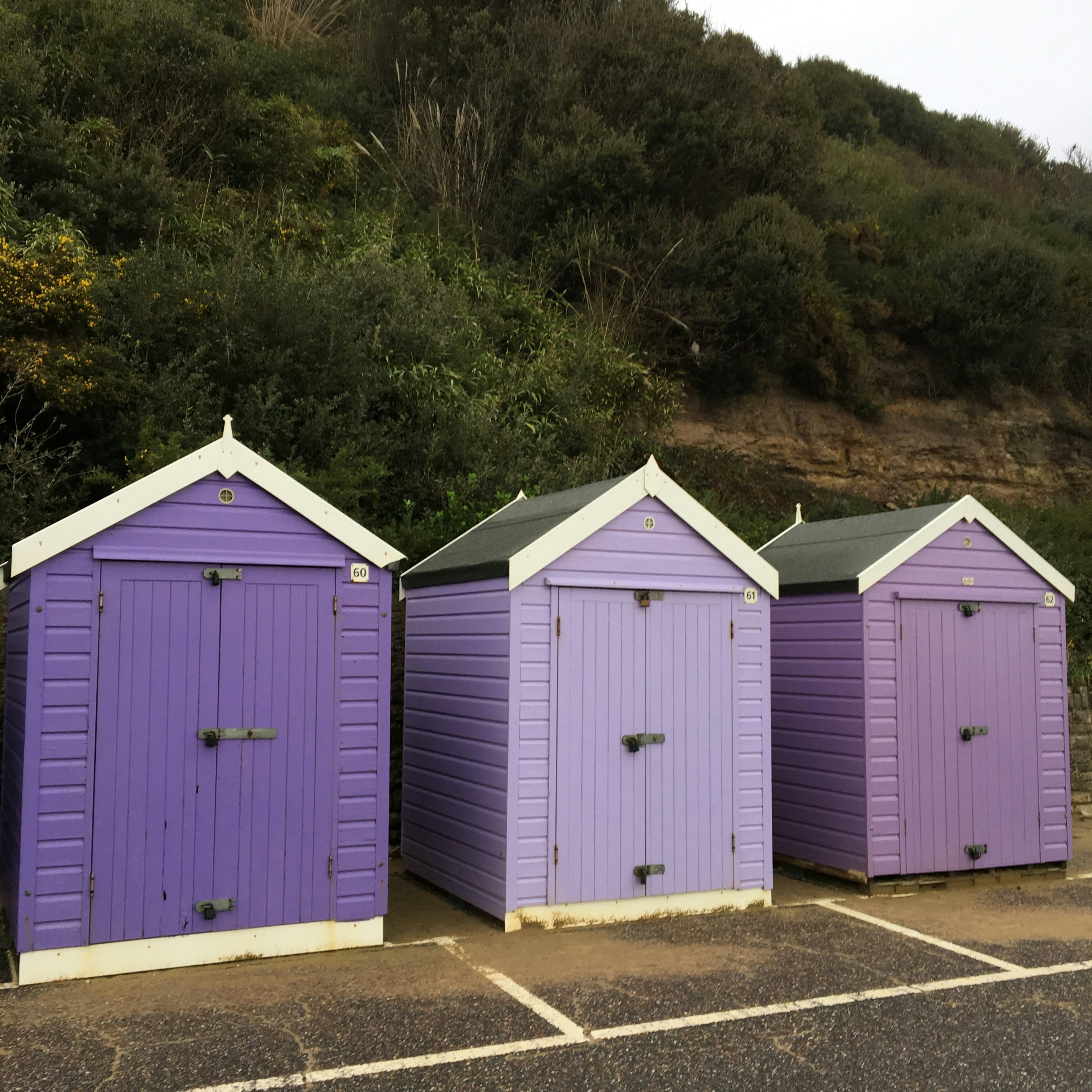 a group of sheds
