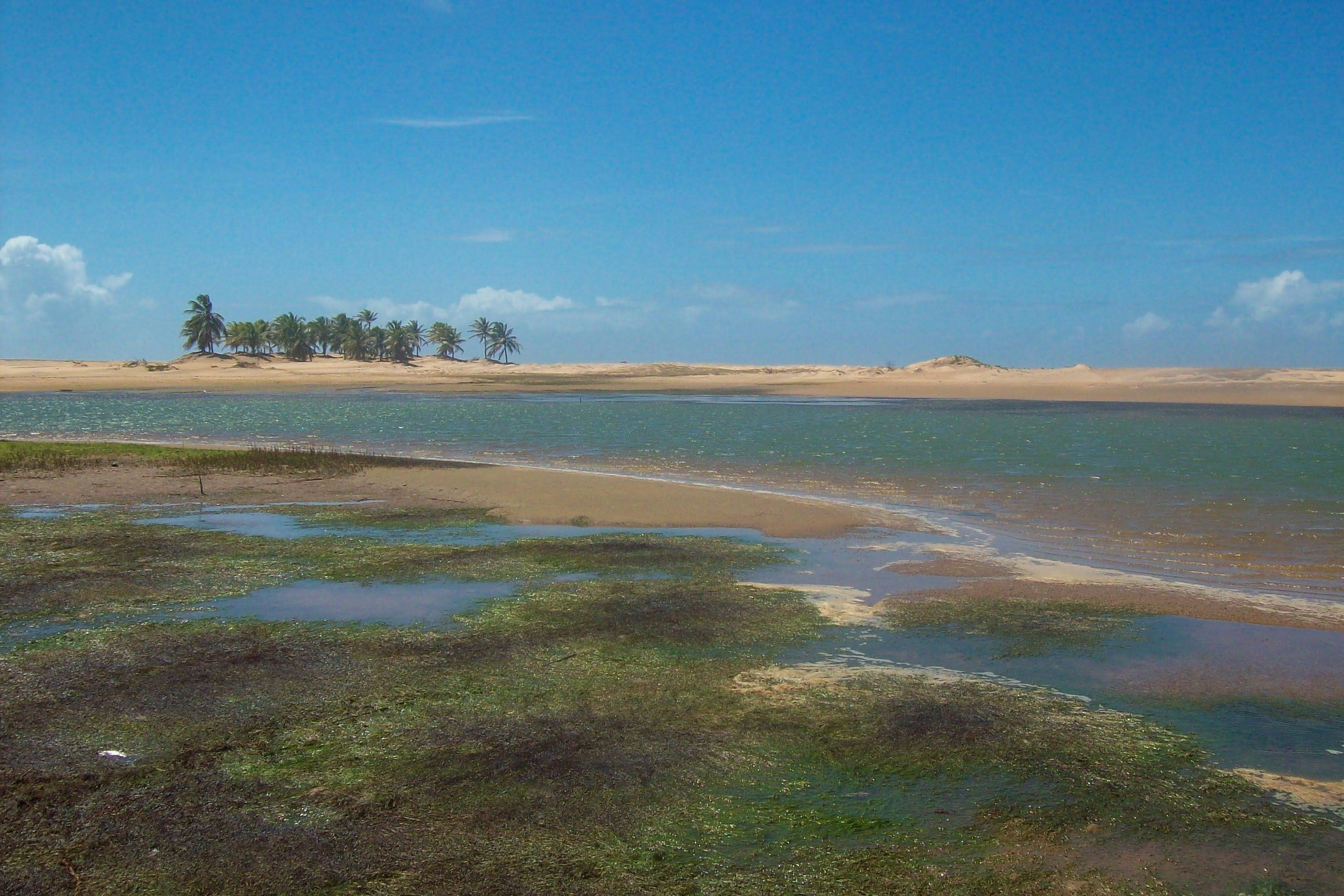 Photo by vibrugueira