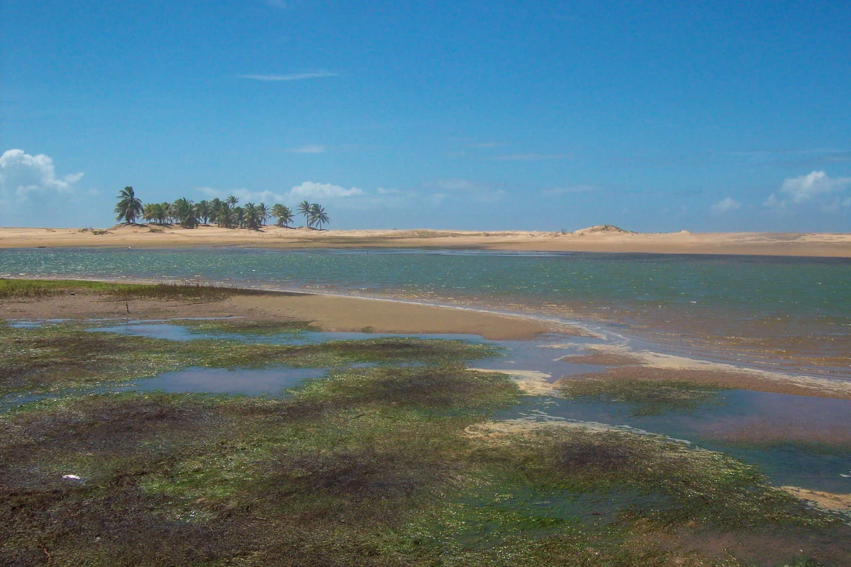Untamed wild coastlines and emerald limestone tidal lagoons in Sumba