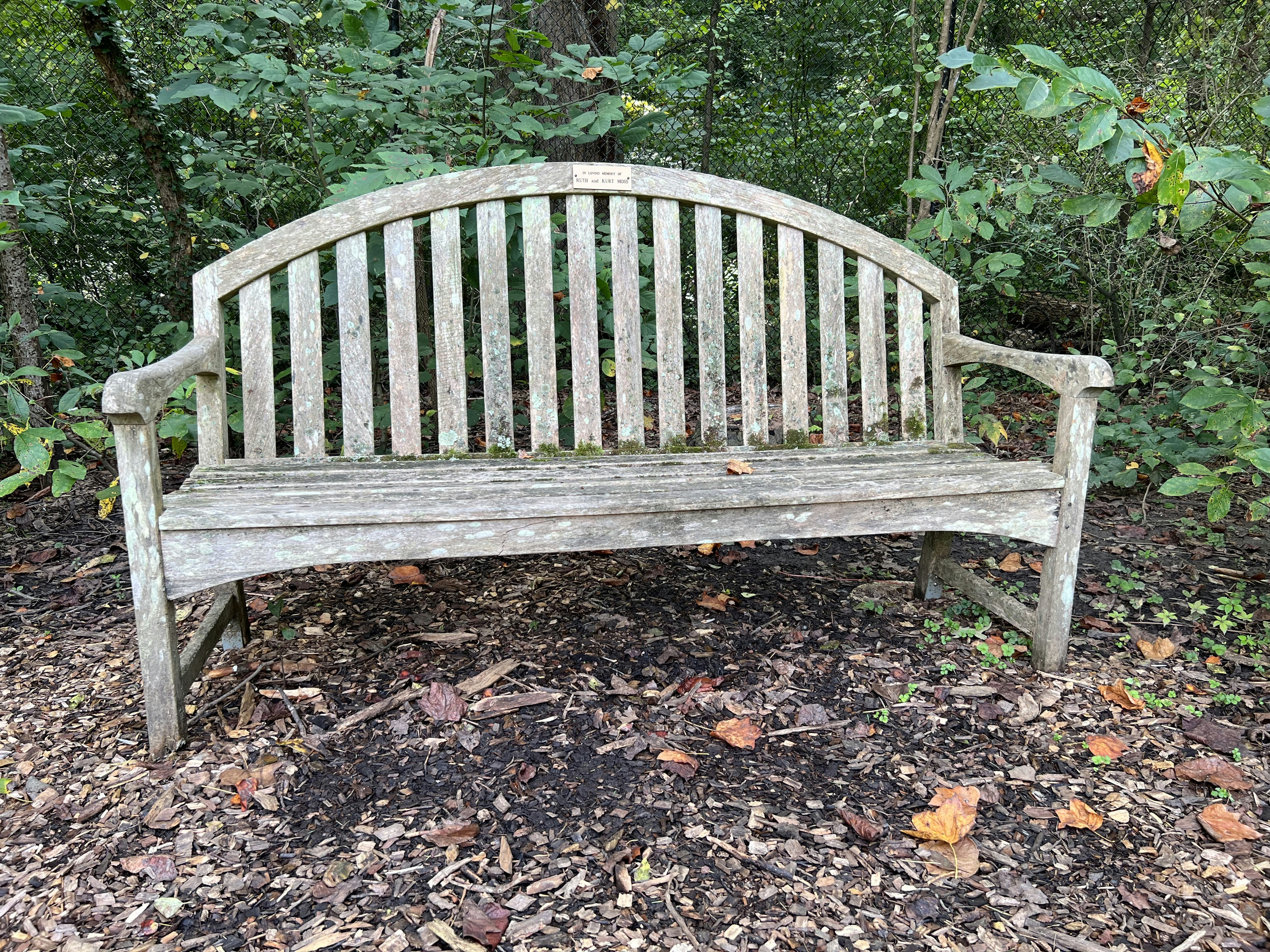 A bench sits unoccupied photo – Free Furniture Image on Unsplash