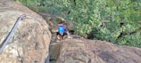 A person wearing a blue helmet is climbing up a steep rock face using metal rungs embedded in the rock. The climber is surrounded by lush green foliage. There is a thick metal cable attached to the rock providing additional support for climbing.