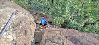 A person wearing a blue helmet is climbing up a steep rock face using metal rungs embedded in the rock. The climber is surrounded by lush green foliage. There is a thick metal cable attached to the rock providing additional support for climbing.