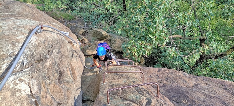A person wearing a blue helmet is climbing up a steep rock face using metal rungs embedded in the rock. The climber is surrounded by lush green foliage. There is a thick metal cable attached to the rock providing additional support for climbing.