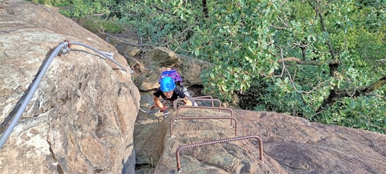 A person wearing a blue helmet is climbing up a steep rock face using metal rungs embedded in the rock. The climber is surrounded by lush green foliage. There is a thick metal cable attached to the rock providing additional support for climbing.