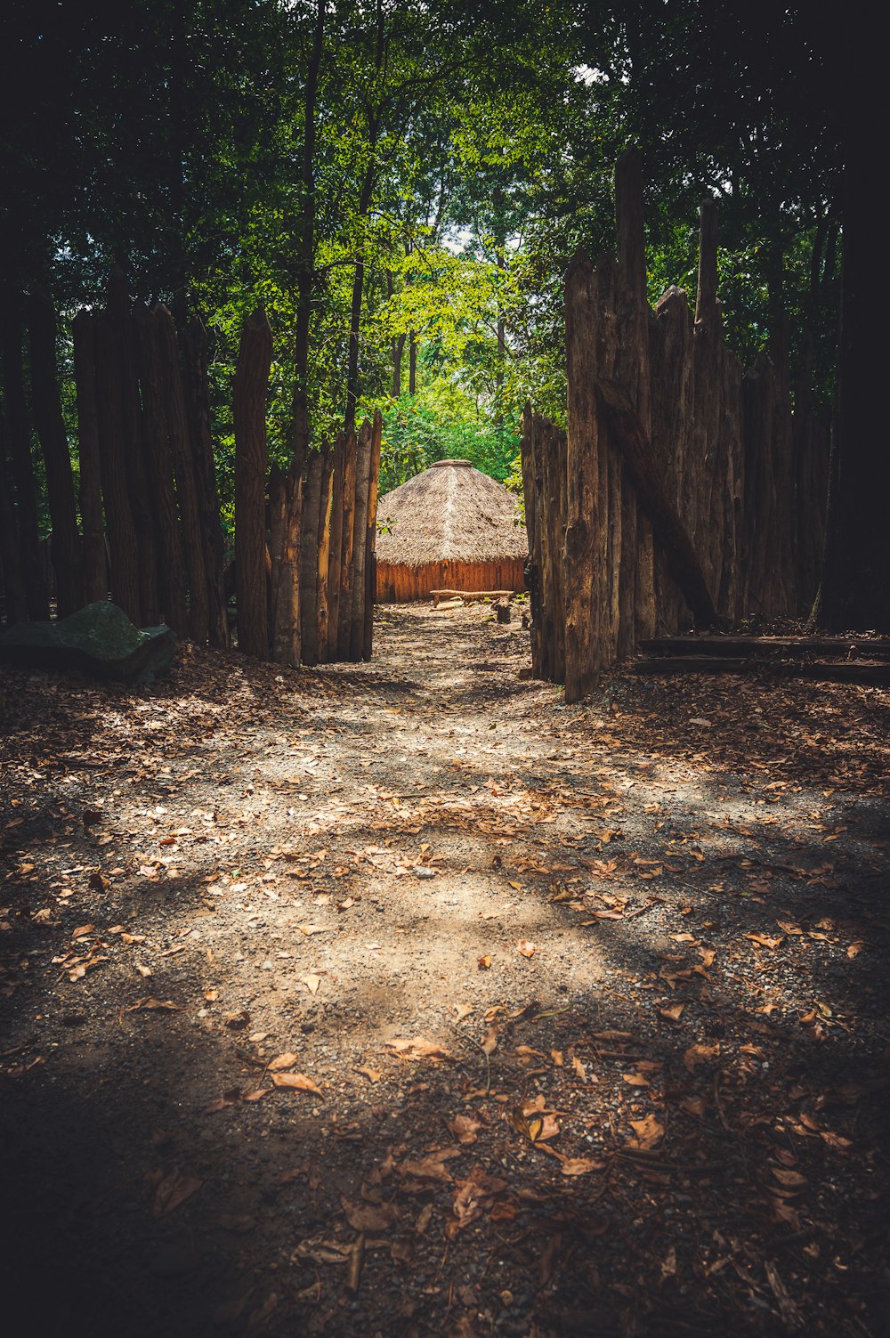 a path with a hut on the side and trees on the side