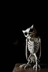 a skeleton with a helmet