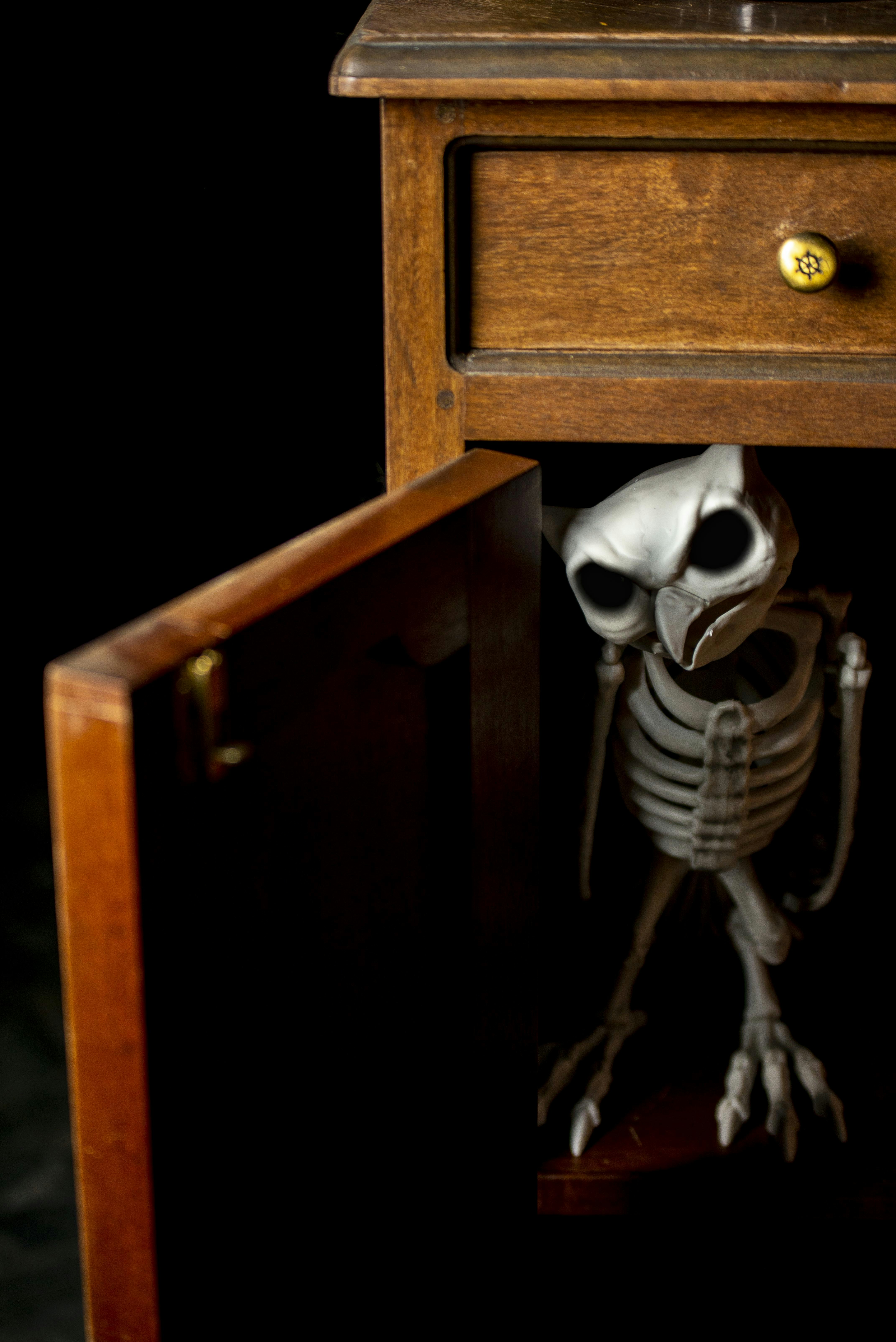 a skeleton on a wooden shelf