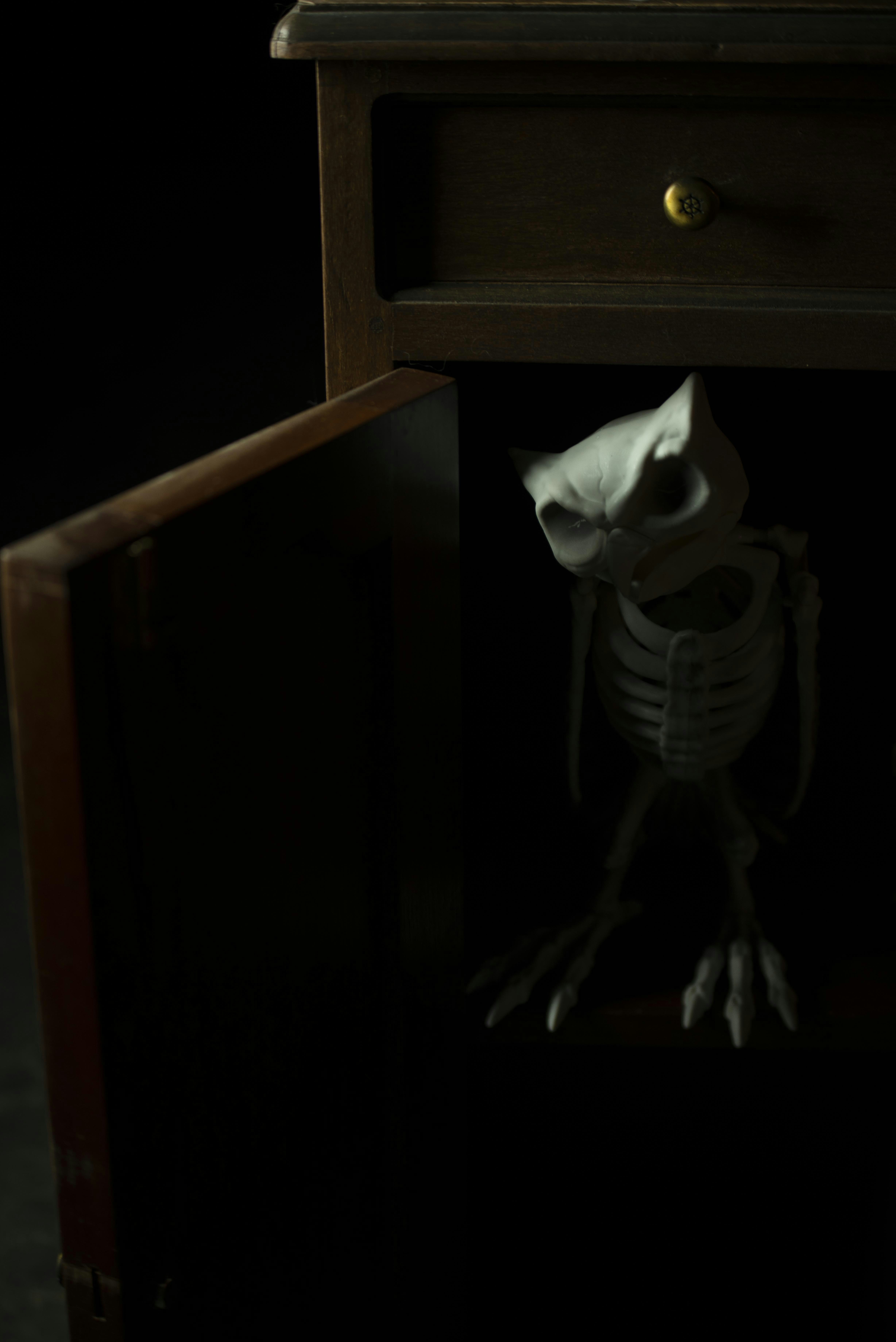 a white skull on a black surface