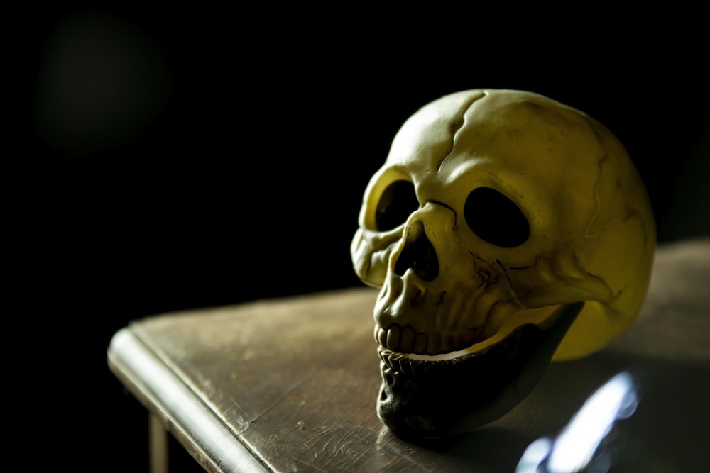 a skull on a table