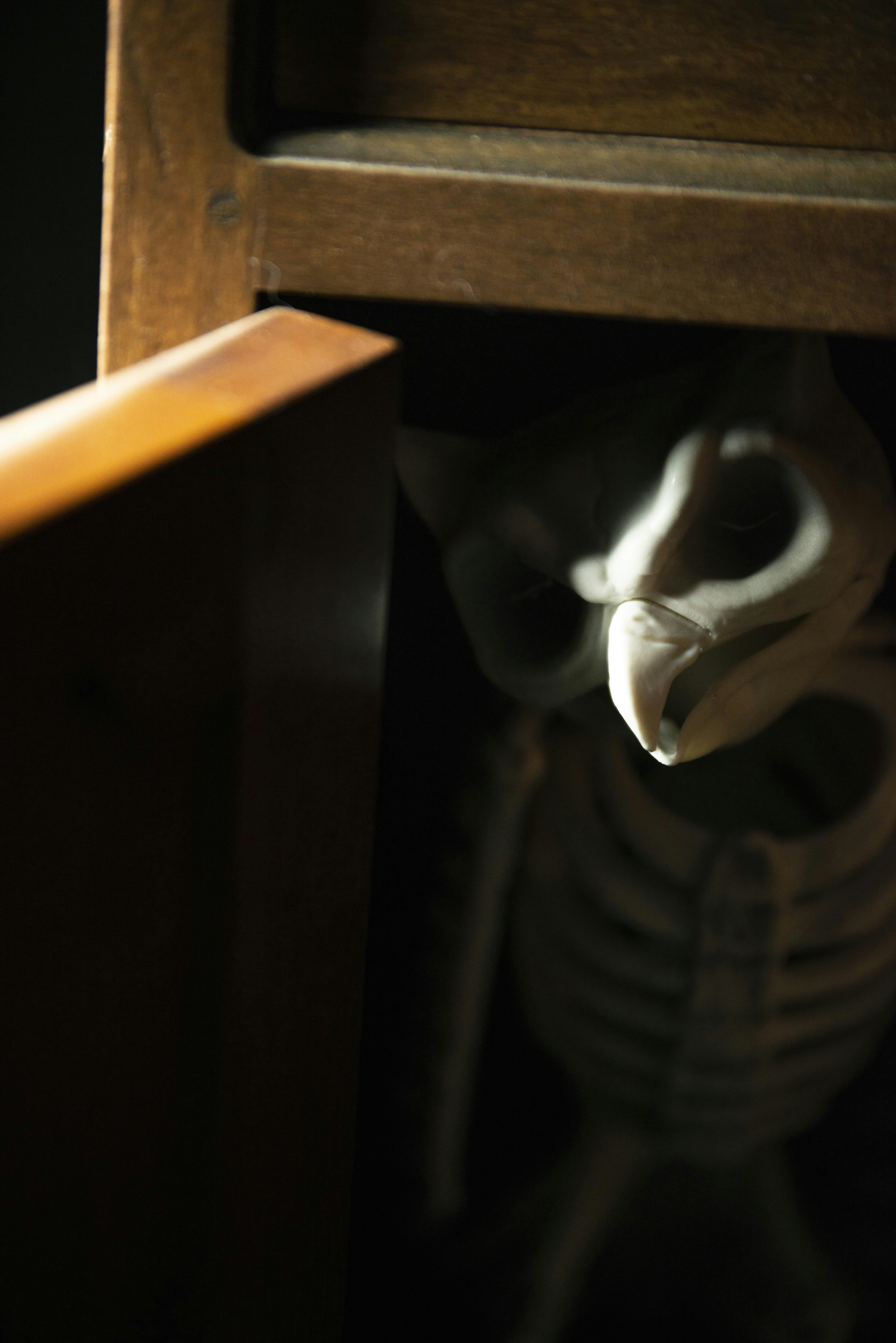 Injury Prevention & Recovery for Women’s Teams: Load Management Advances (2026)