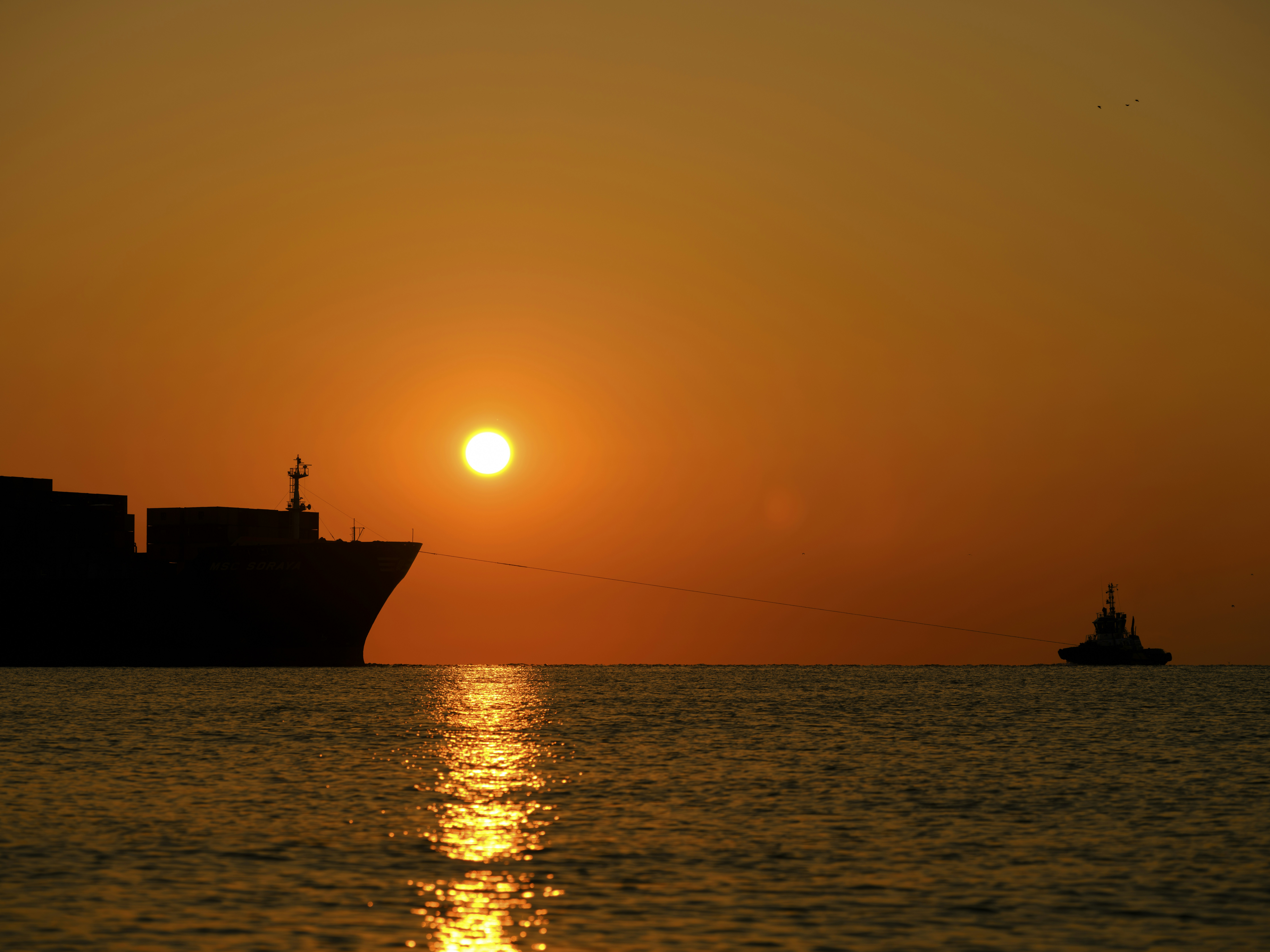 Photo by enginakyurt