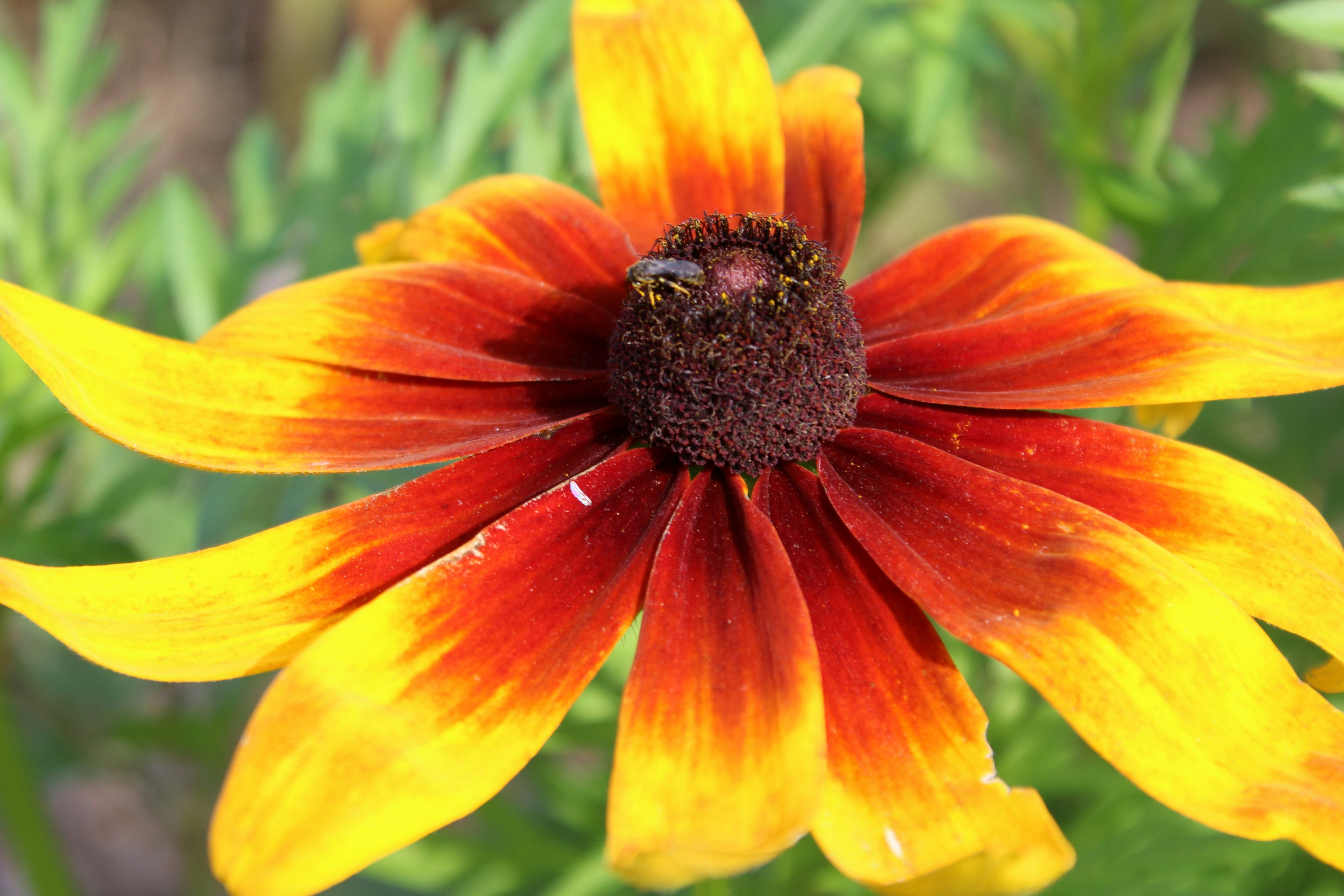 Photo by amaphotosforall