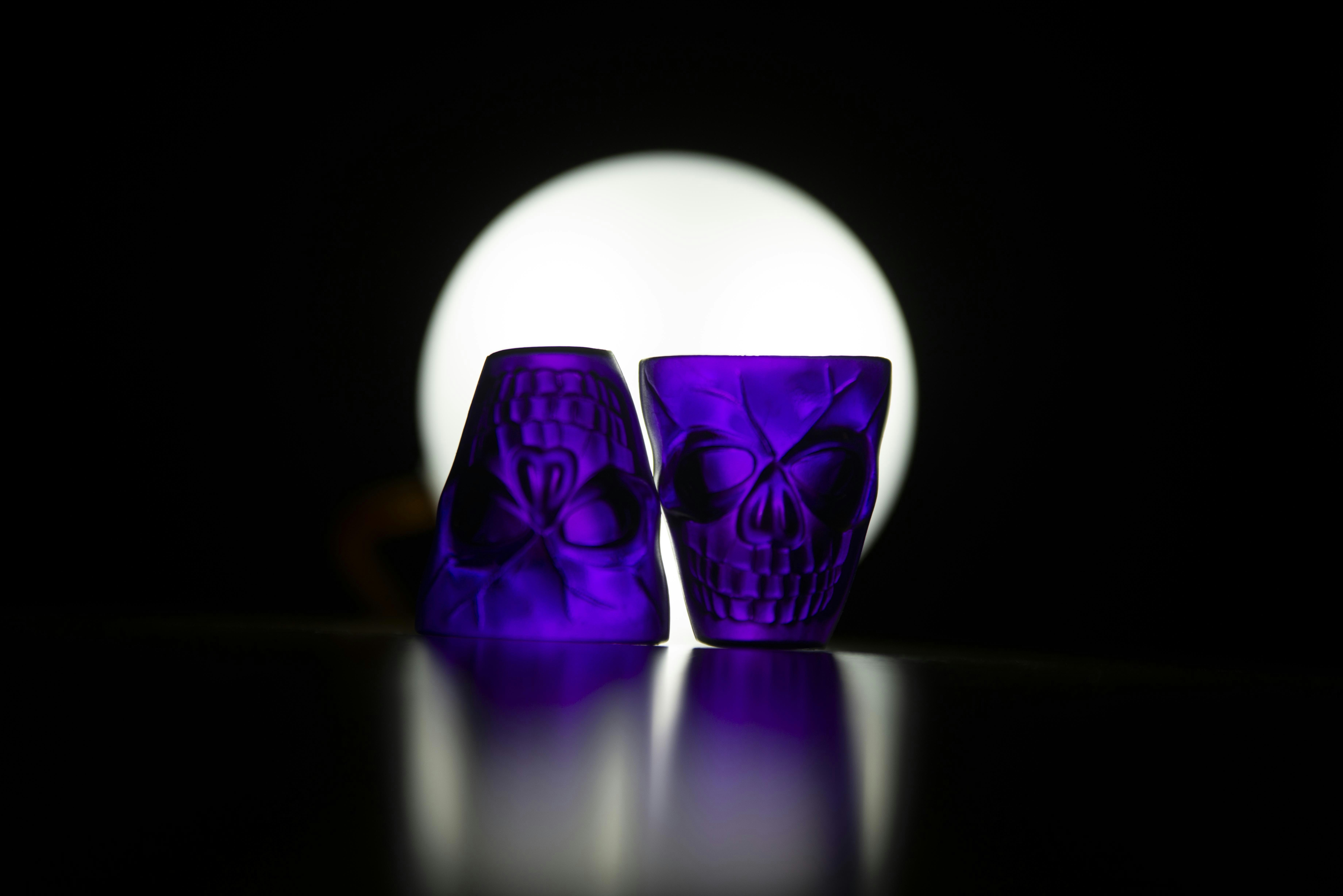 a pair of purple flowers in a glass vase