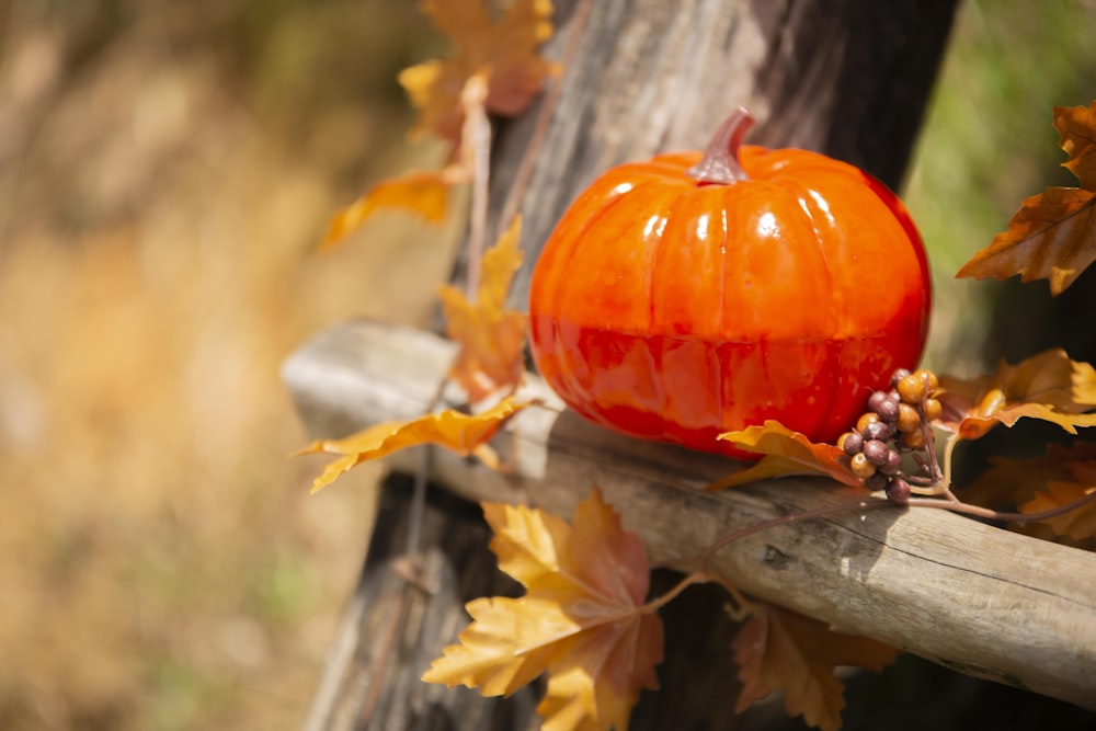 a pumpkin on a tree branch