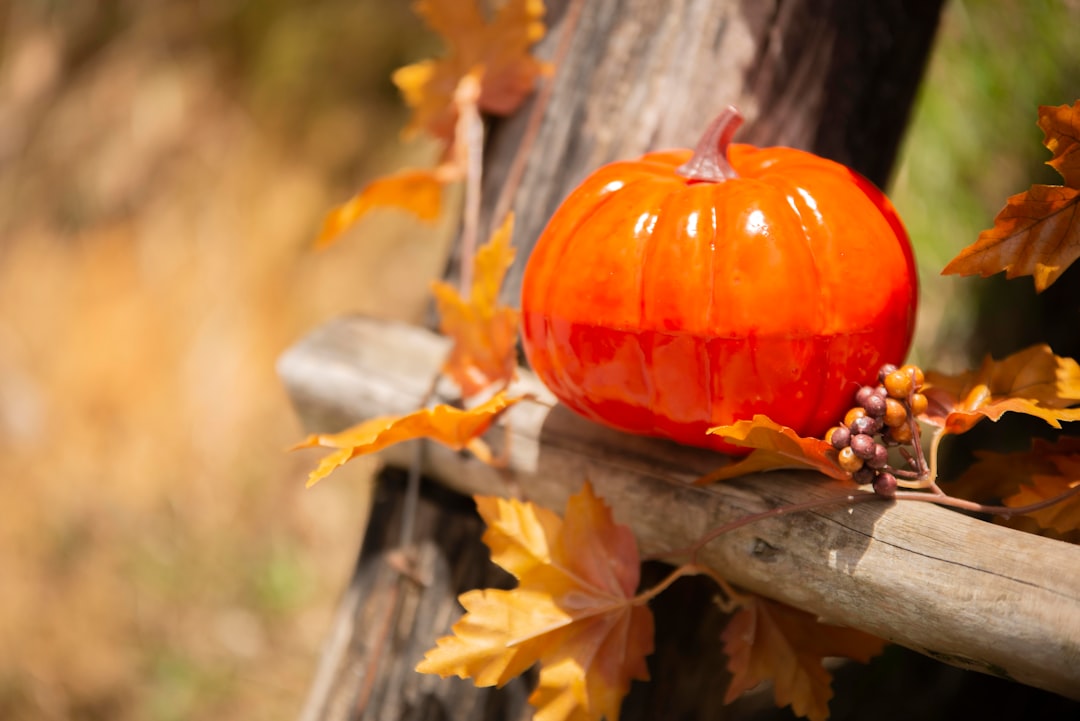 a pumpkin on a tree branch