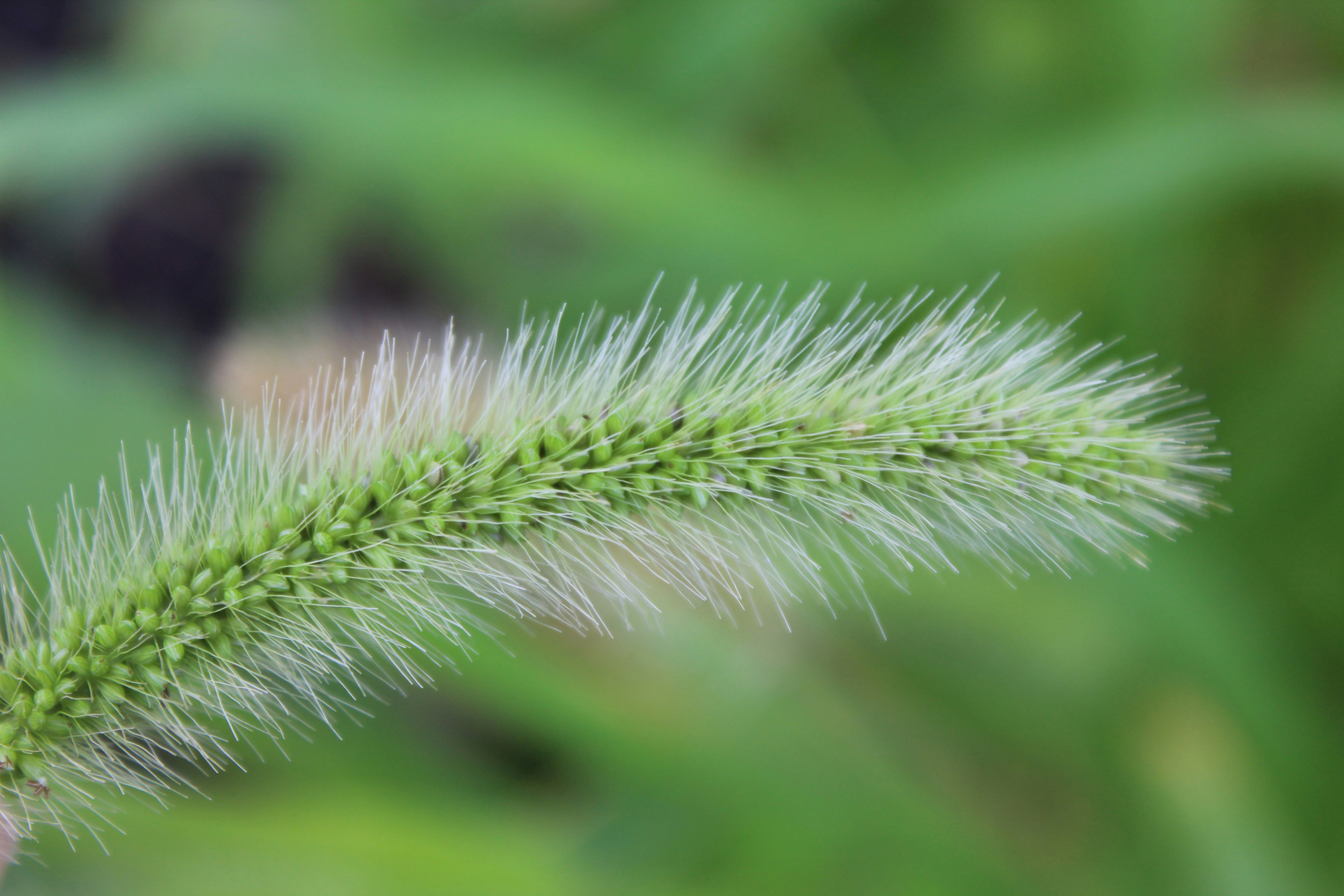 Photo by amaphotosforall